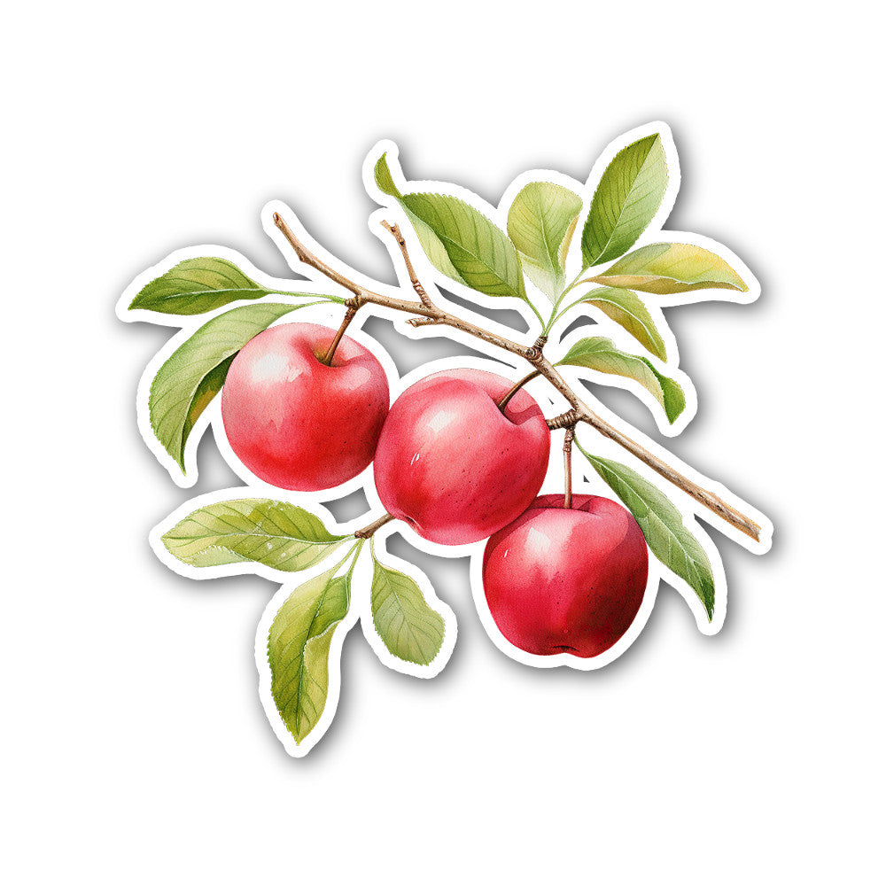 Apple tree branch Sticker, Waterproof Vinyl Decal Sticker Indoor Or Outdoor 2 (Pieces) 3" and 5"