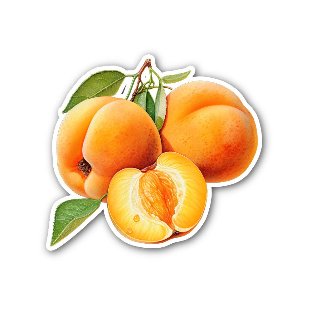 Apricot Sticker, Waterproof Vinyl Decal Sticker Indoor Or Outdoor 2 (Pieces) 3" and 5"