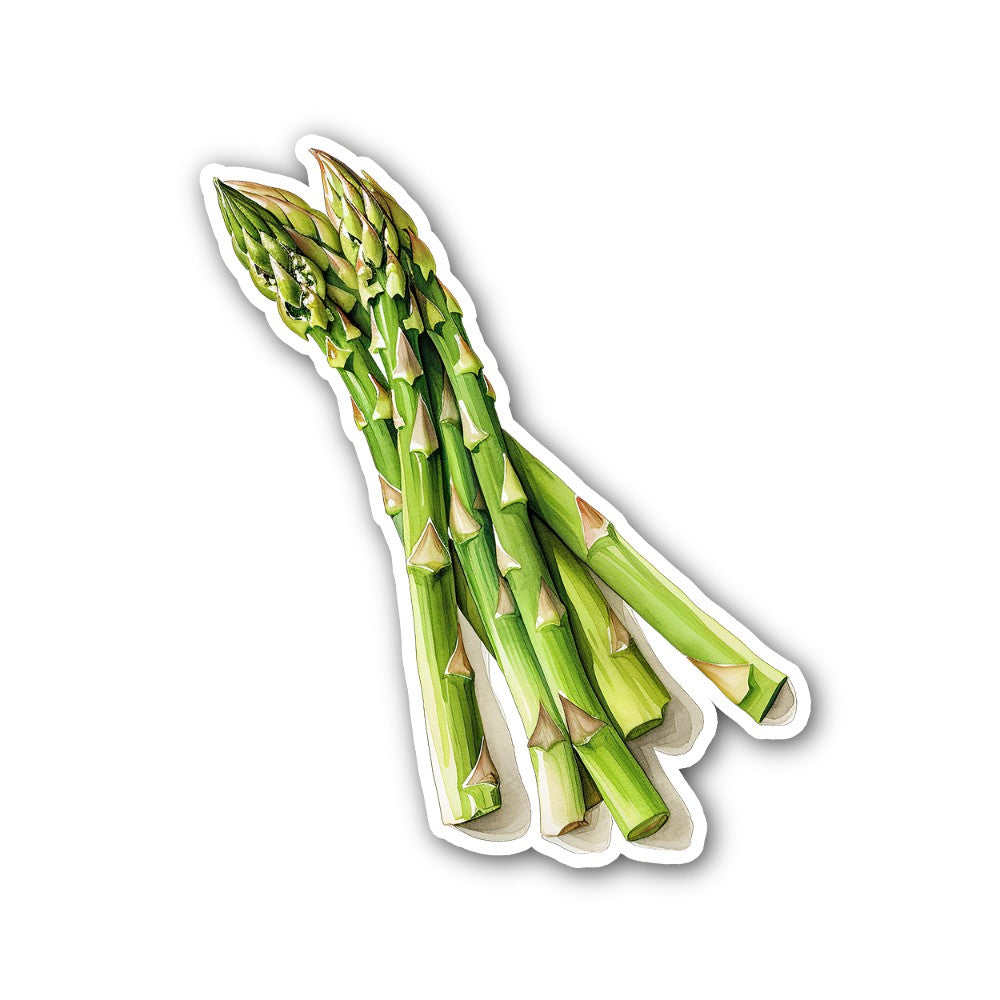 Asparagus Sticker, Waterproof Vinyl Decal Sticker Indoor Or Outdoor 2 (Pieces) 3" and 5"
