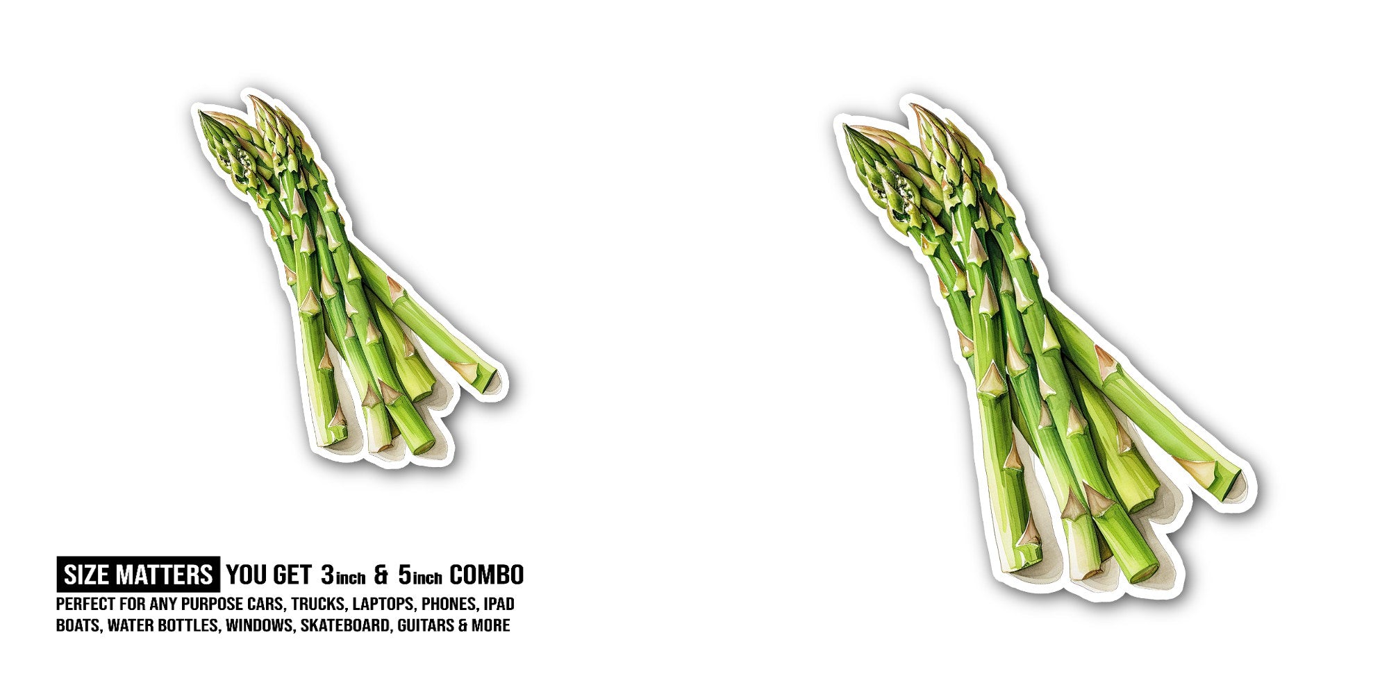 Asparagus Sticker, Waterproof Vinyl Decal Sticker Indoor Or Outdoor 2 (Pieces) 3" and 5"