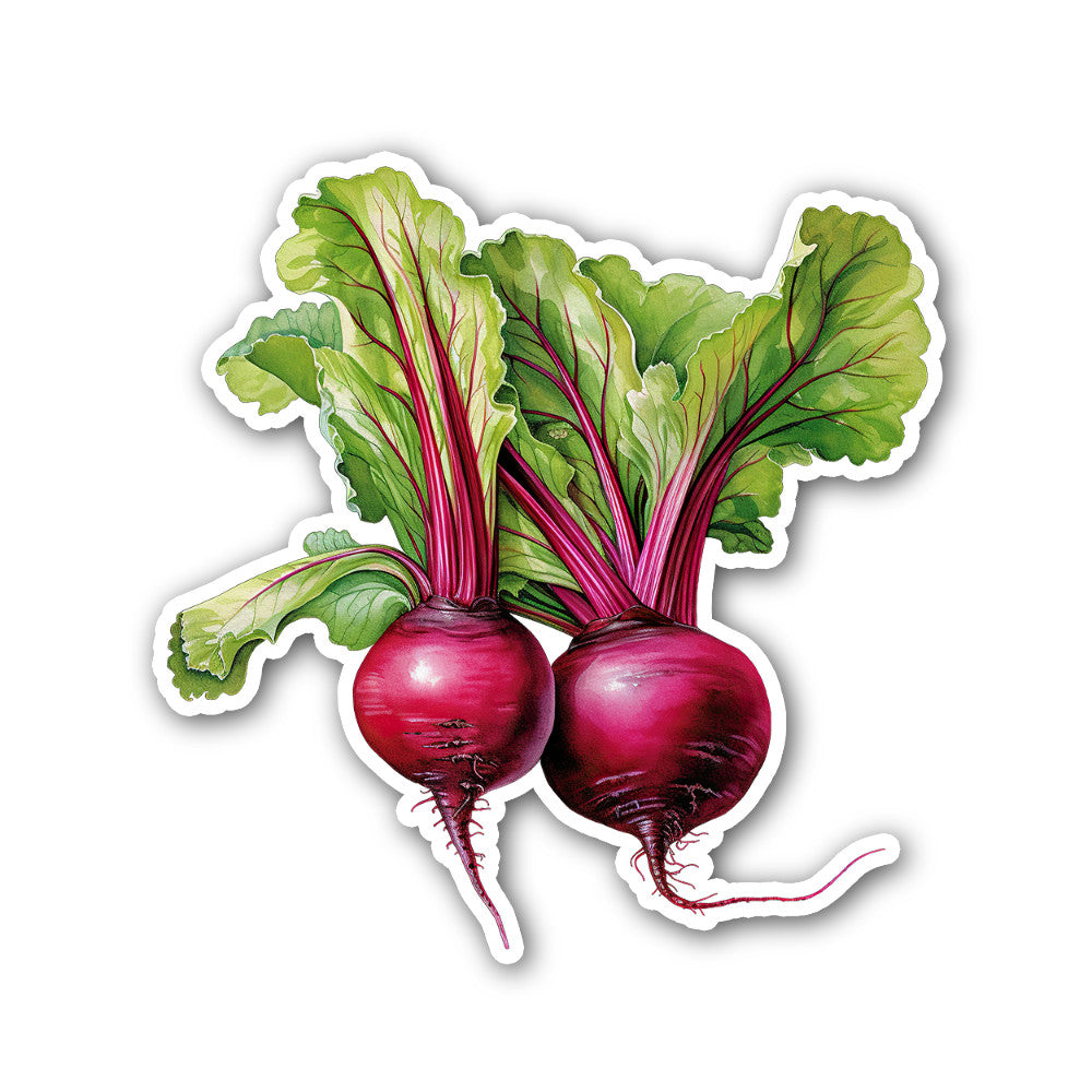 Beetroot Sticker, Waterproof Vinyl Decal Sticker Indoor Or Outdoor 2 (Pieces) 3" and 5"