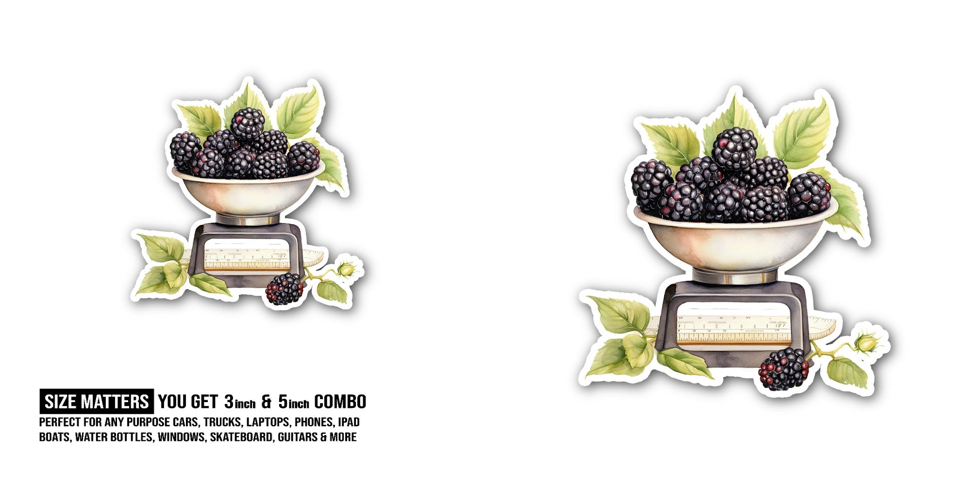 Cute Blackberries Sticker, Waterproof Vinyl Decal Sticker Indoor Or Outdoor 2 (Pieces) 3" and 5"