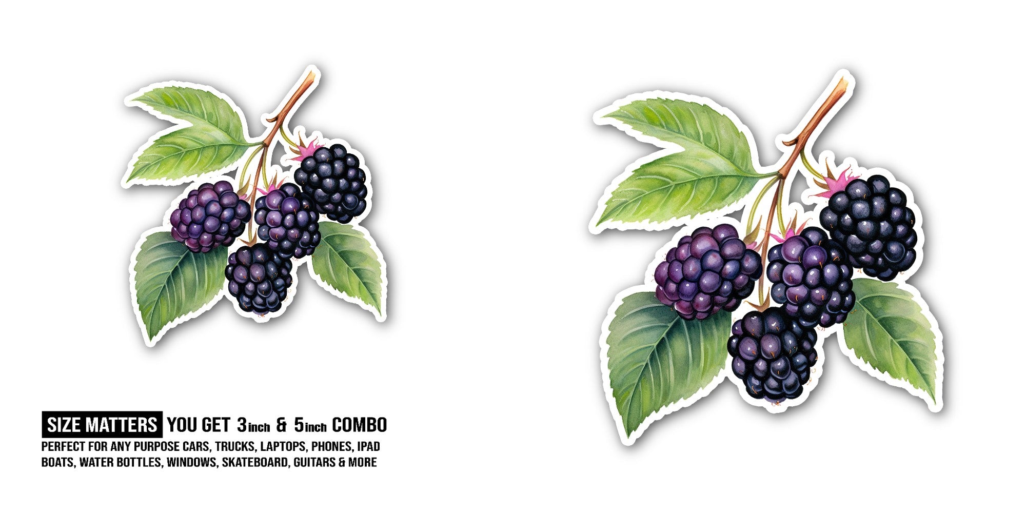 Fresh Blackberry Sticker, Waterproof Vinyl Decal Sticker Indoor Or Outdoor 2 (Pieces) 3" and 5"