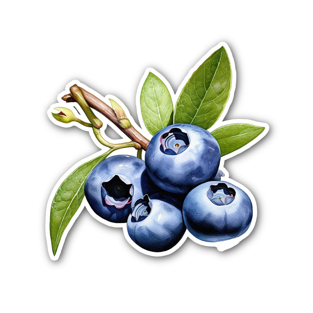 Blueberry with leaves Sticker, Waterproof Vinyl Decal Sticker Indoor Or Outdoor 2 (Pieces) 3" and 5"
