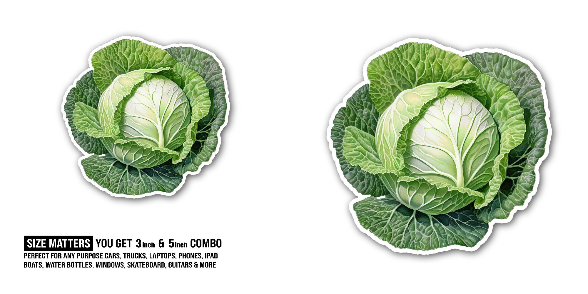 Fresh Green Cabbage Sticker, Waterproof Vinyl Decal Sticker Indoor Or Outdoor 2 (Pieces) 3" and 5"