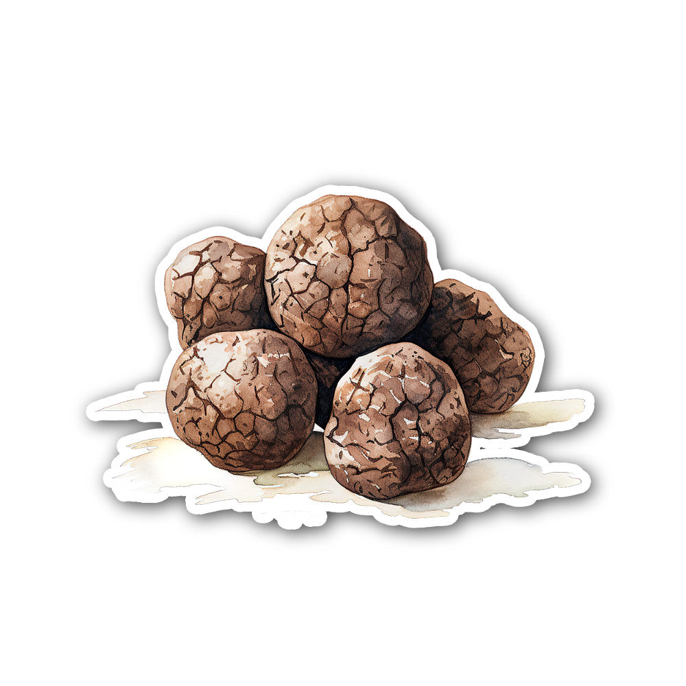 Black truffles Sticker, Waterproof Vinyl Decal Sticker Indoor Or Outdoor 2 (Pieces) 3" and 5"