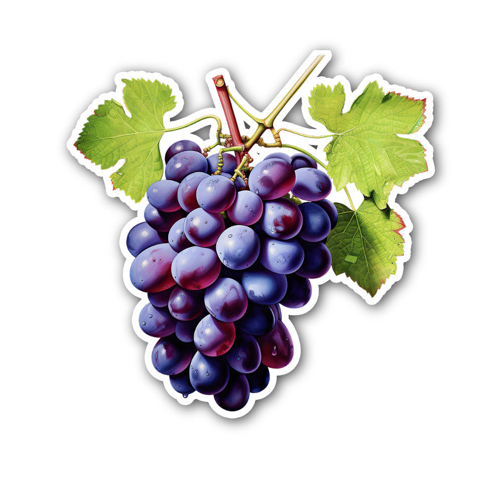 grapes Sticker, Waterproof Vinyl Decal Sticker Indoor Or Outdoor 2 (Pieces) 3" and 5"