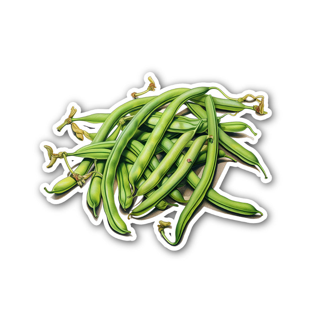 Green beans Sticker, Waterproof Vinyl Decal Sticker Indoor Or Outdoor 2 (Pieces) 3" and 5"