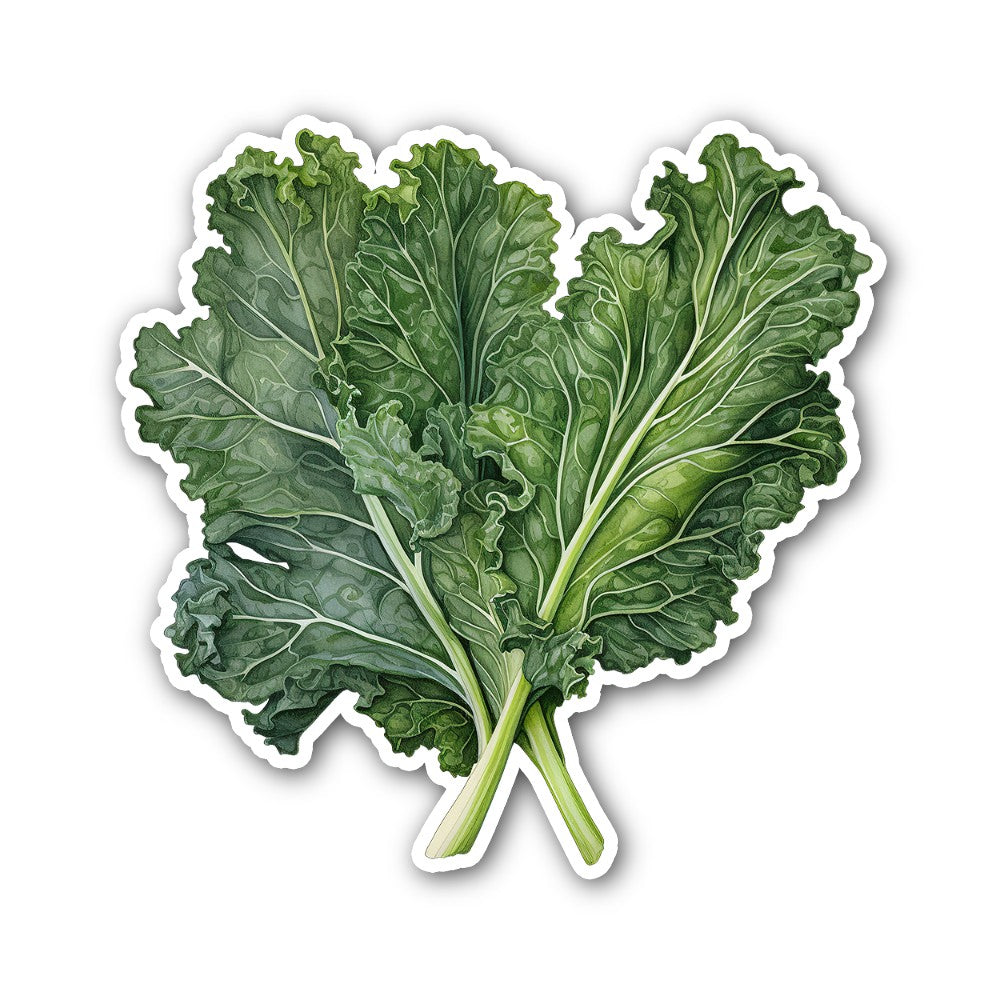 Kale Sticker, Waterproof Vinyl Decal Sticker Indoor Or Outdoor 2 (Pieces) 3" and 5"