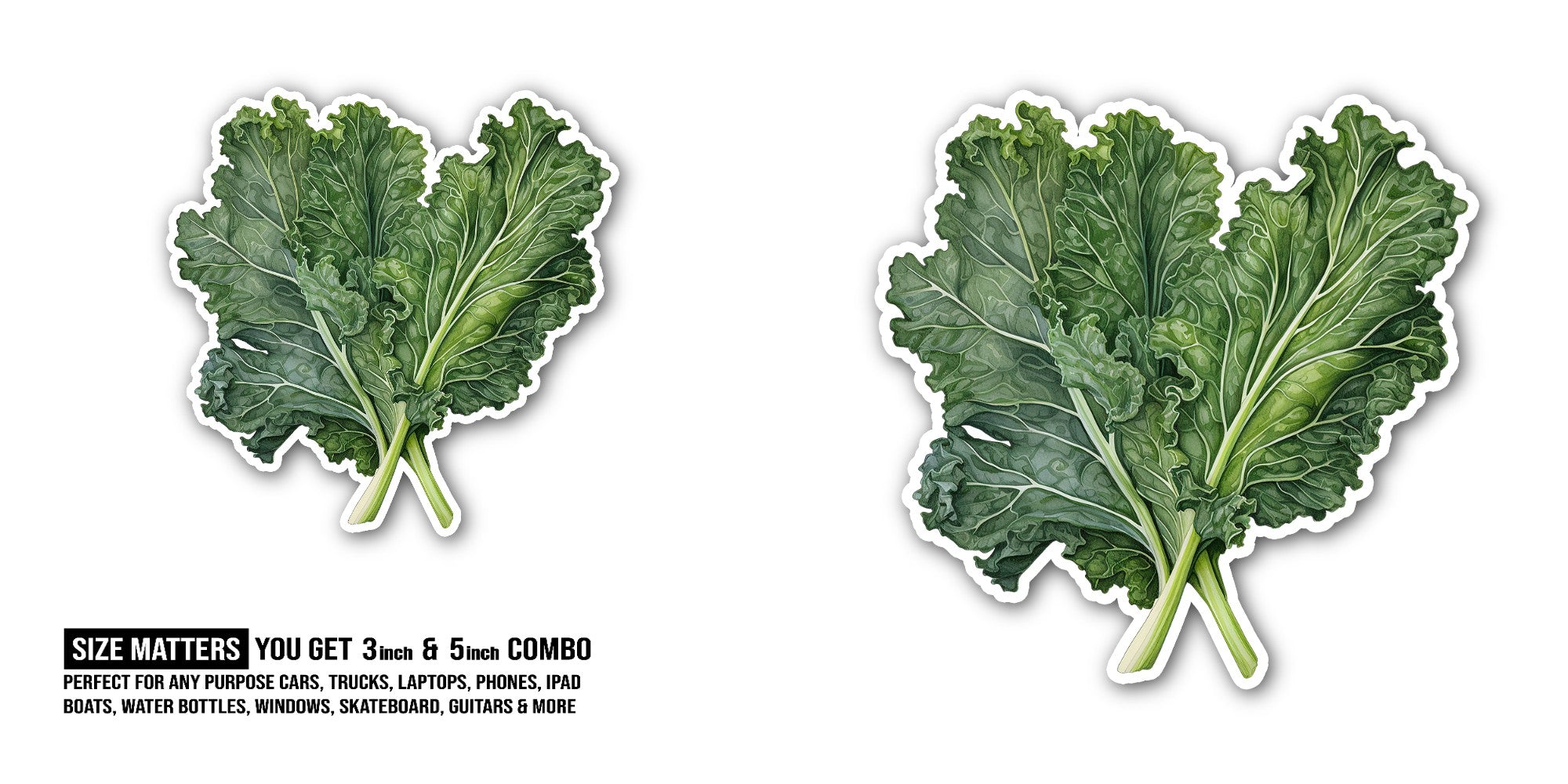 Kale Sticker, Waterproof Vinyl Decal Sticker Indoor Or Outdoor 2 (Pieces) 3" and 5"