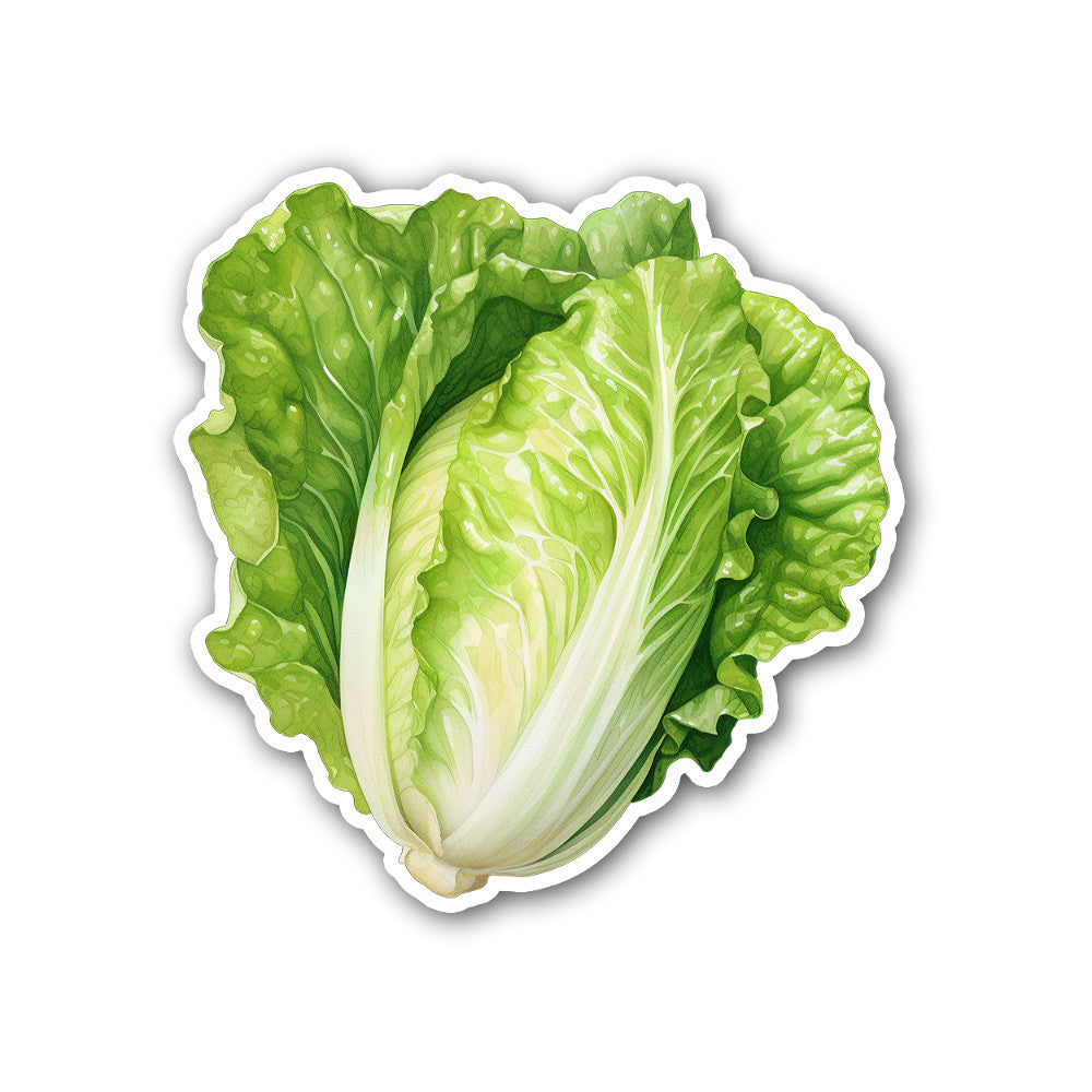 Lettuce Sticker, Waterproof Vinyl Decal Sticker Indoor Or Outdoor 2 (Pieces) 3" and 5"