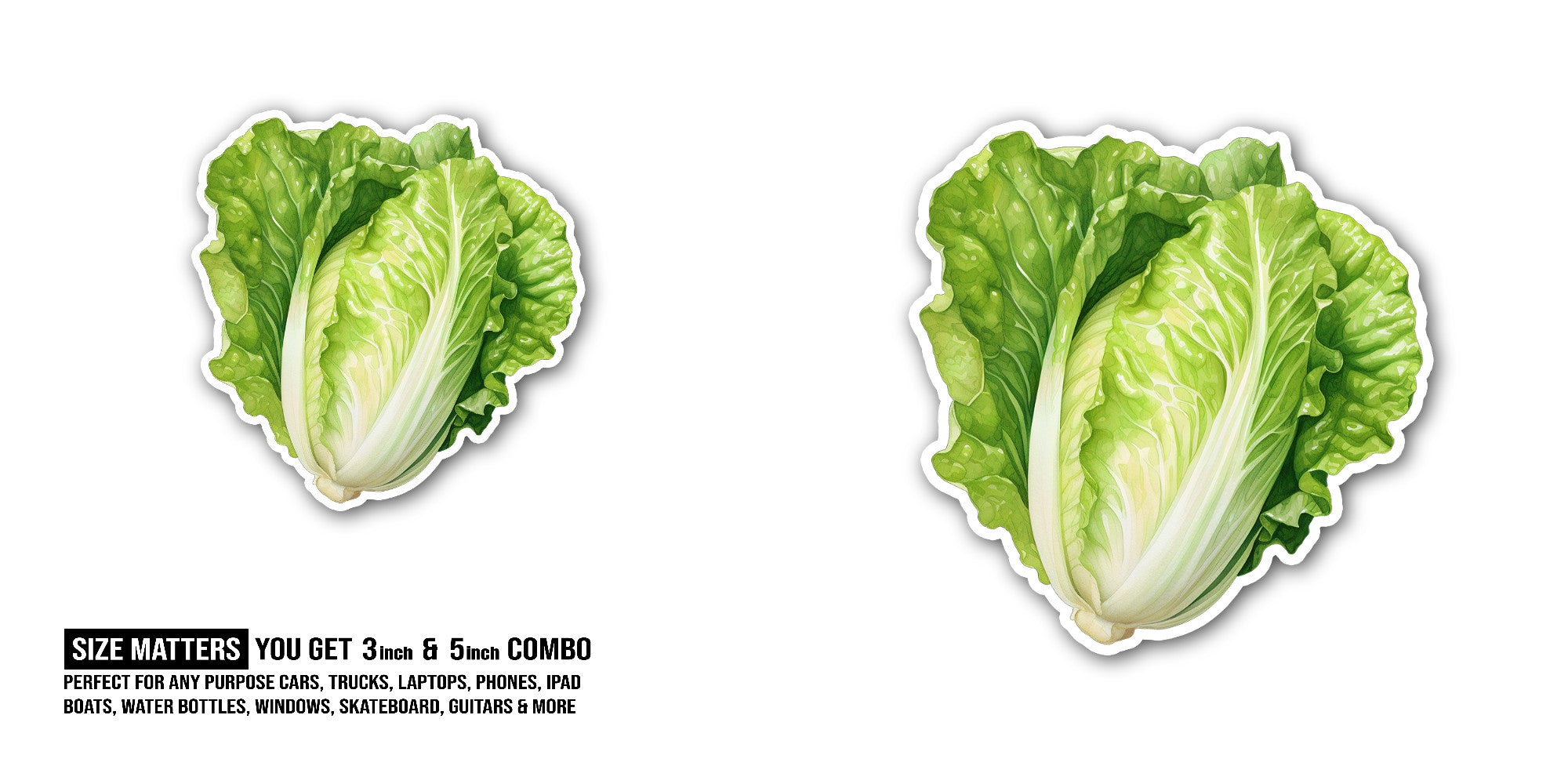 Lettuce Sticker, Waterproof Vinyl Decal Sticker Indoor Or Outdoor 2 (Pieces) 3" and 5"