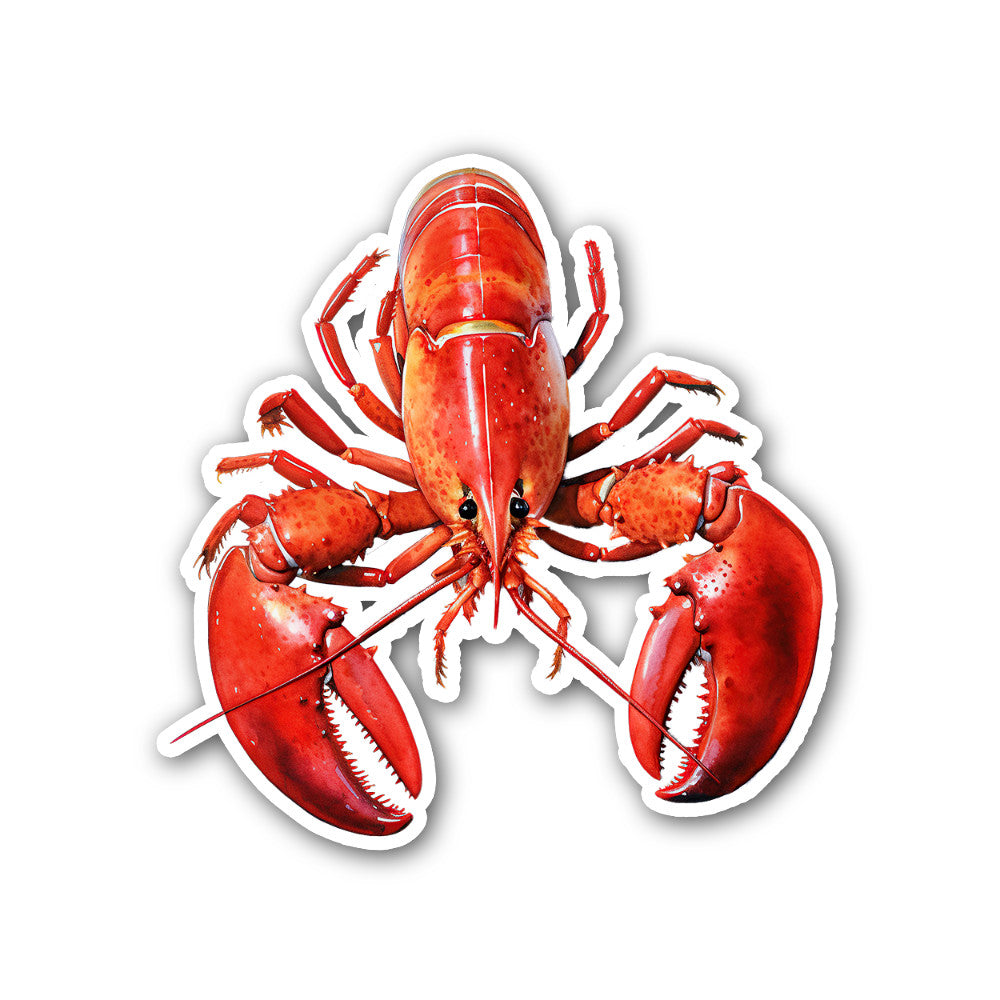 Red Lobster Sticker, Waterproof Vinyl Decal Sticker Indoor Or Outdoor 2 (Pieces) 3" and 5"
