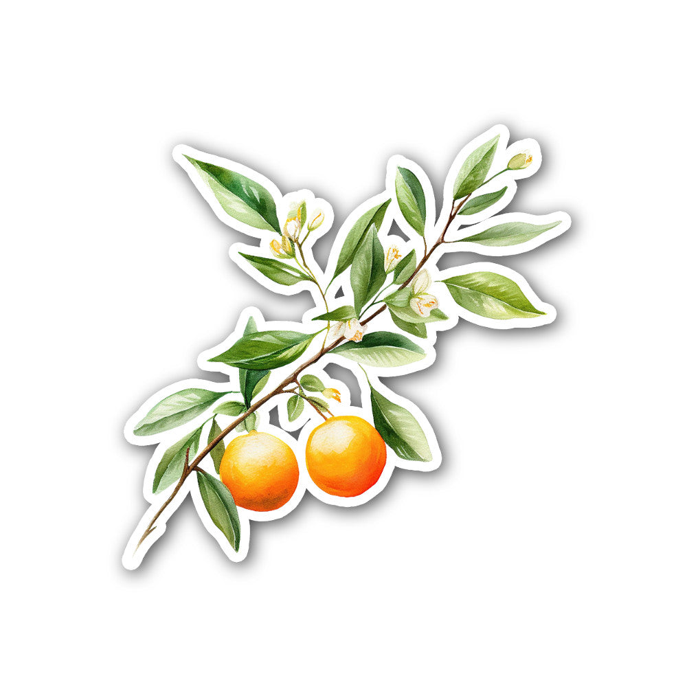A branch of a orange Sticker, Waterproof Vinyl Decal Sticker Indoor Or Outdoor 2 (Pieces) 3" and 5"