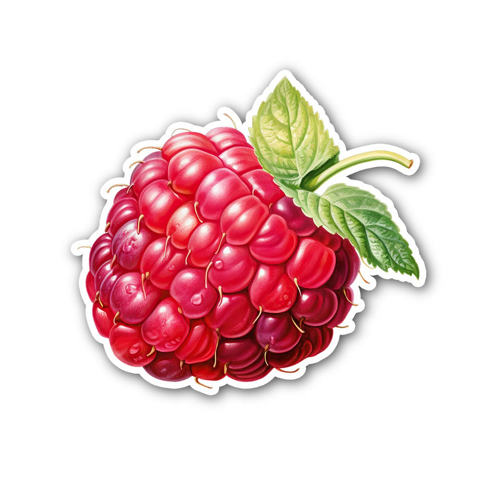 Raspberries Fruit Sticker, Waterproof Vinyl Decal Sticker Indoor Or Outdoor 2 (Pieces) 3" and 5"