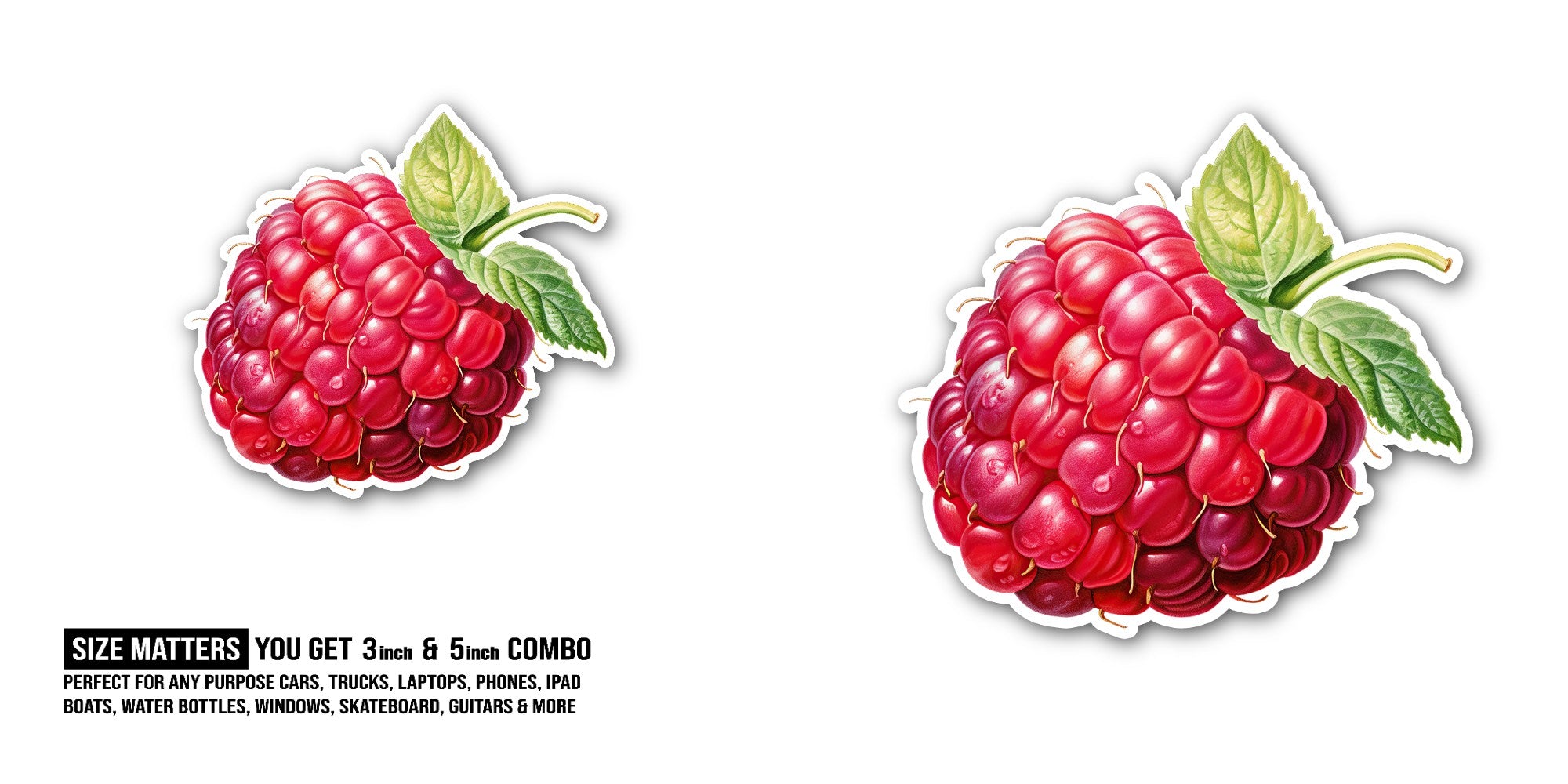 Raspberries Fruit Sticker, Waterproof Vinyl Decal Sticker Indoor Or Outdoor 2 (Pieces) 3" and 5"