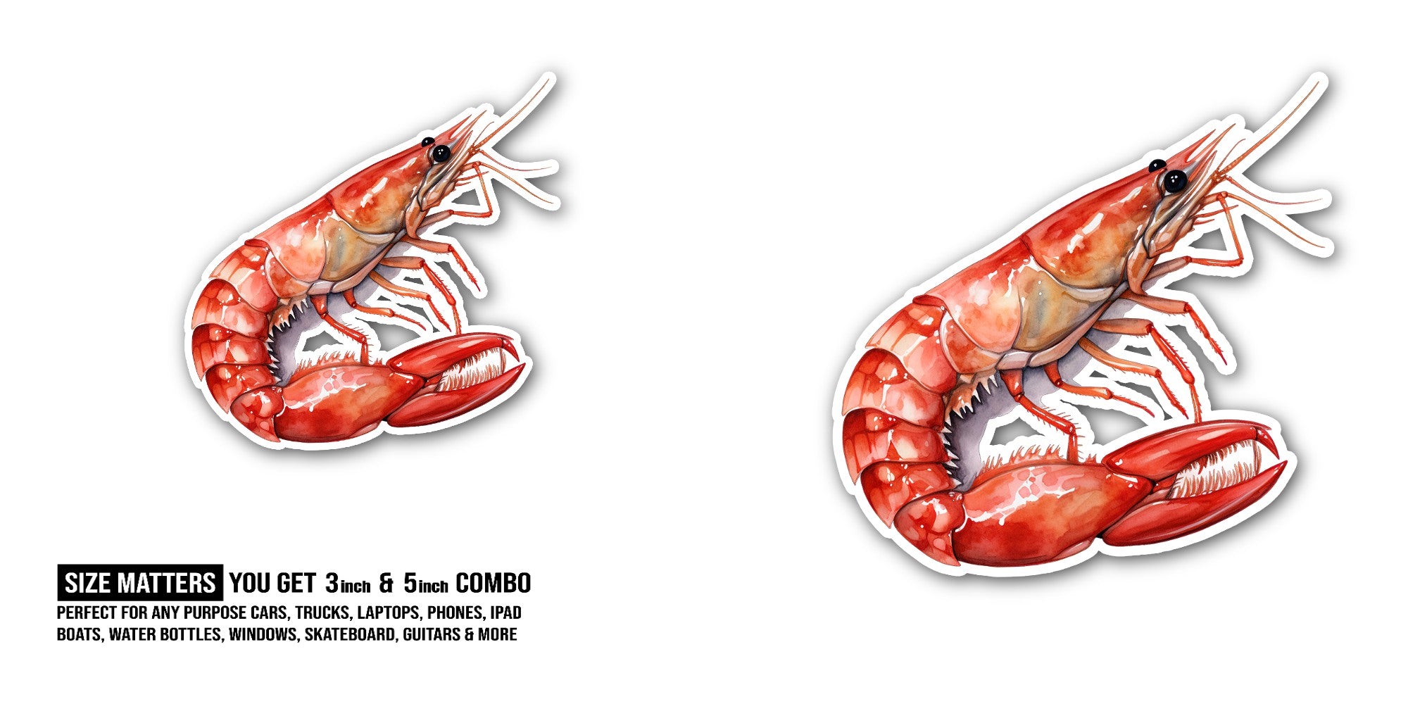 Cute Shrimp Sticker, Waterproof Vinyl Decal Sticker Indoor Or Outdoor 2 (Pieces) 3" and 5"