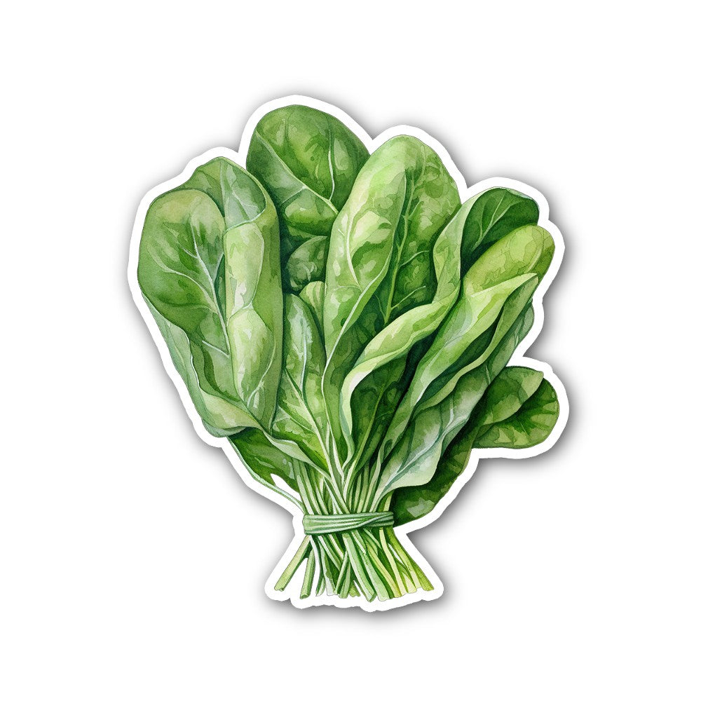 Beautiful Spinach Sticker, Waterproof Vinyl Decal Sticker Indoor Or Outdoor 2 (Pieces) 3" and 5"