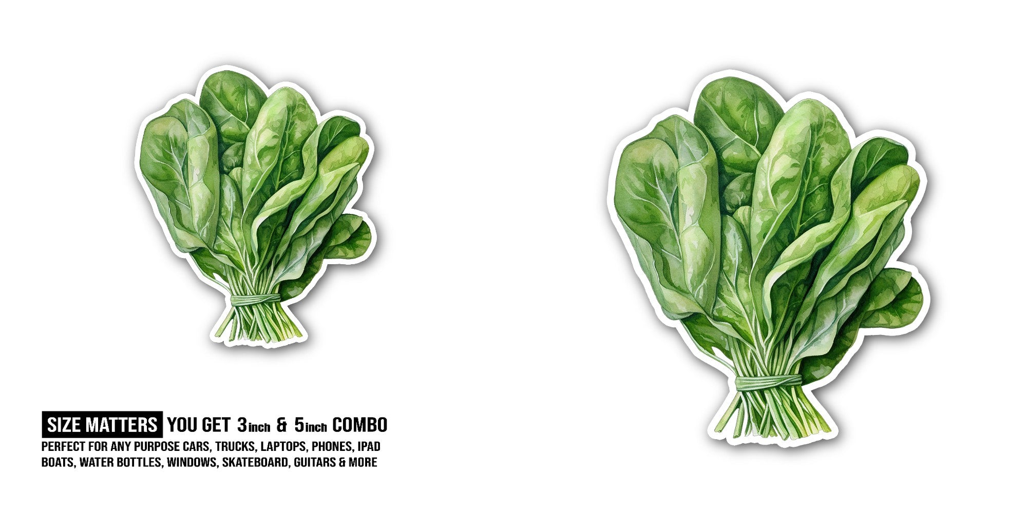 Beautiful Spinach Sticker, Waterproof Vinyl Decal Sticker Indoor Or Outdoor 2 (Pieces) 3" and 5"