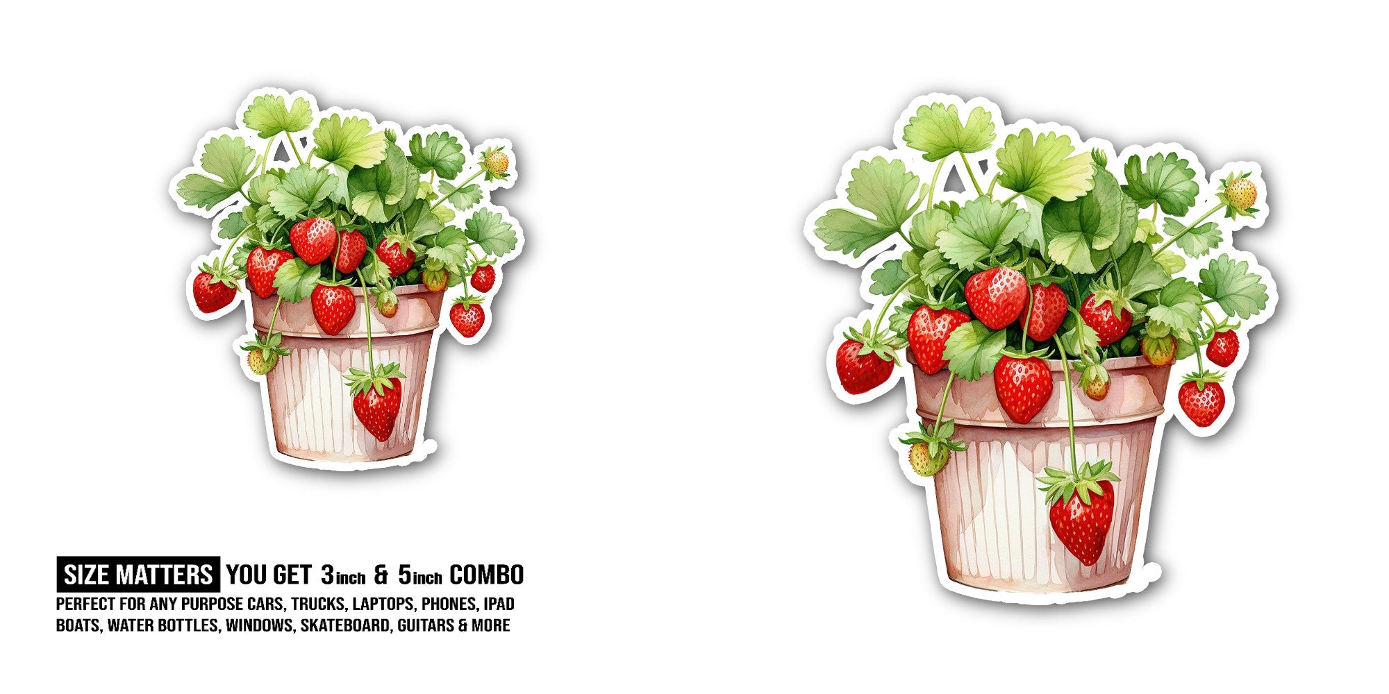 Strawberry Plants Sticker, Waterproof Vinyl Decal Sticker Indoor Or Outdoor 2 (Pieces) 3" and 5"