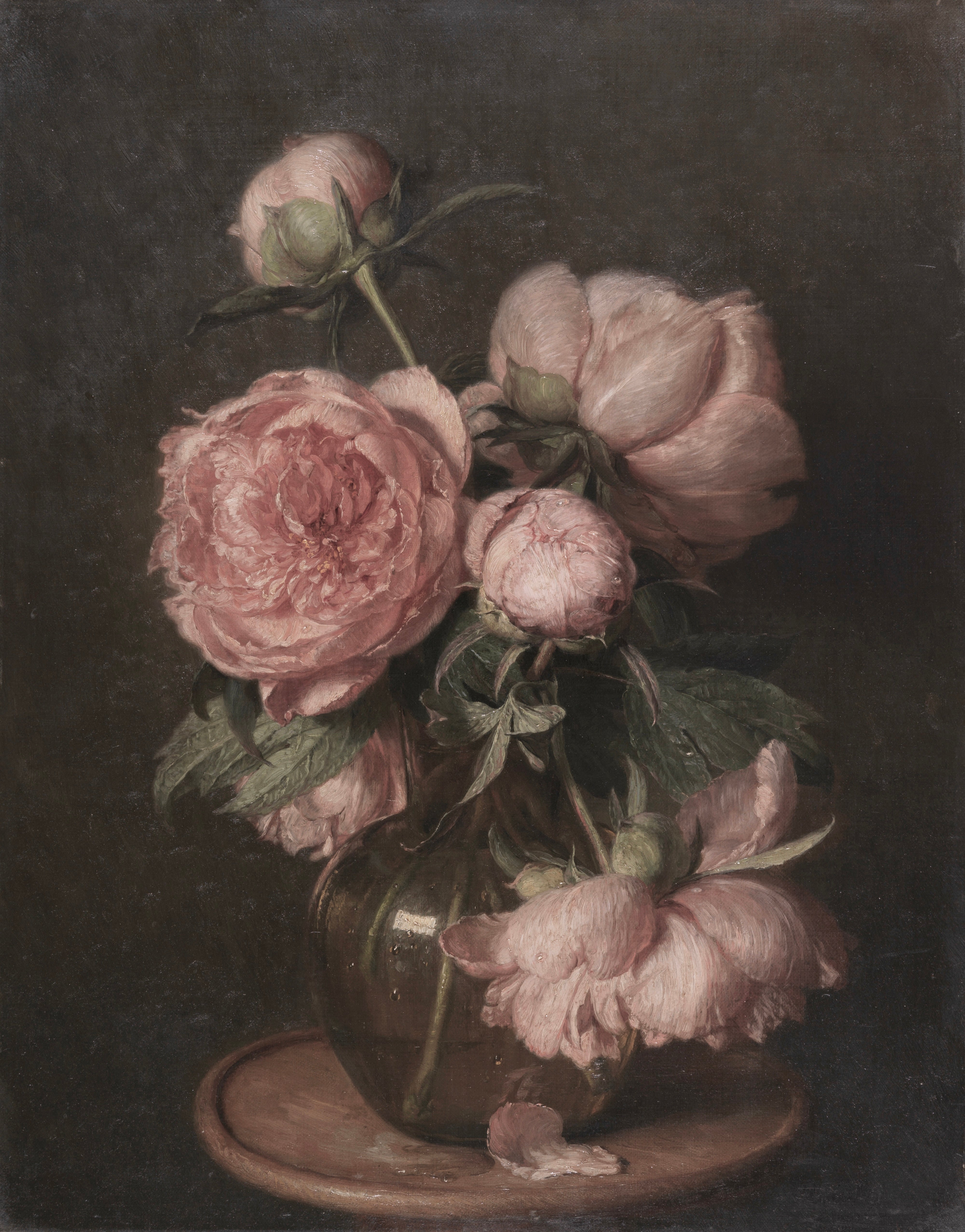 Vinyl Decal, Vintage Pink Peony Flower Still Life Painting Print (5" x 7")