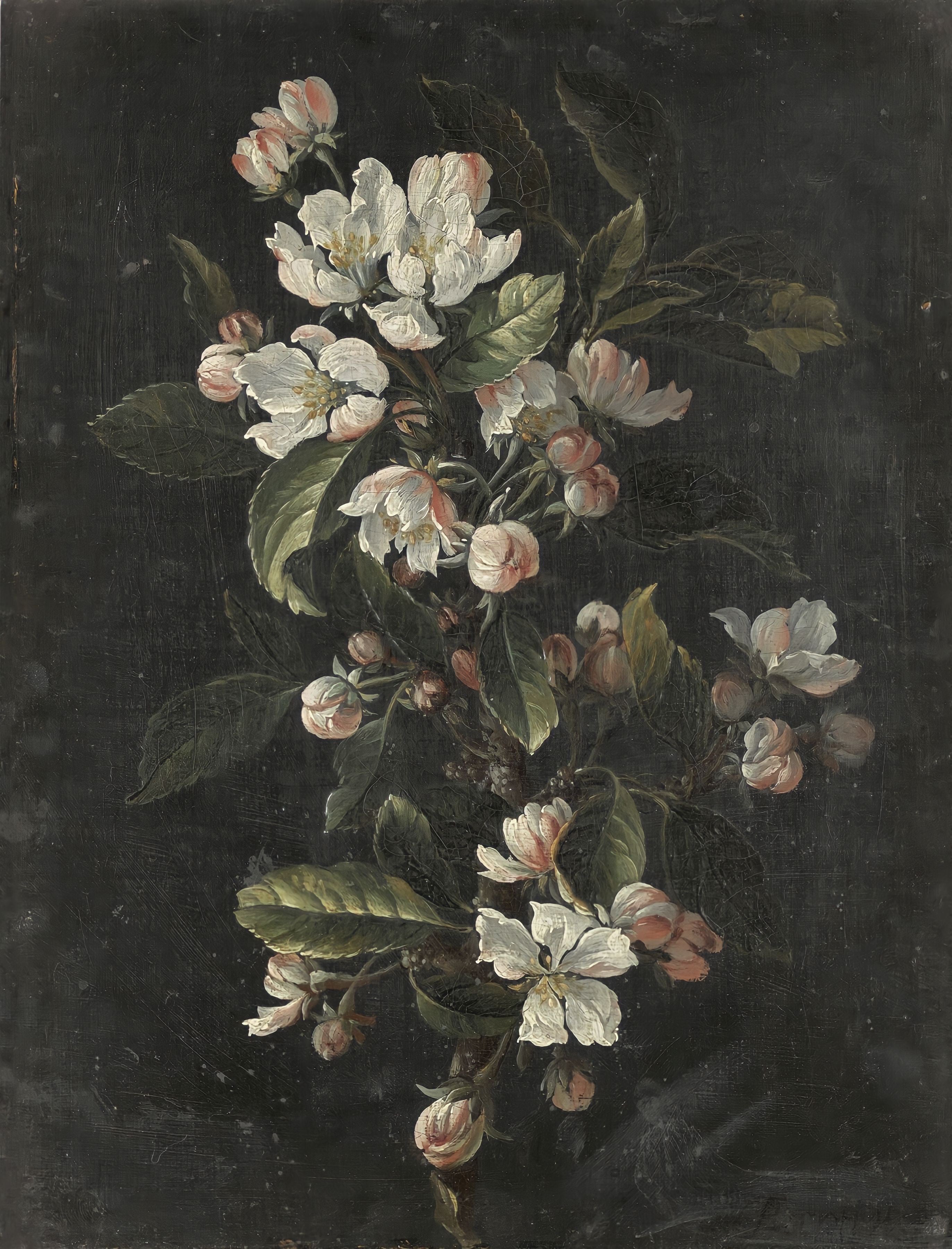 Vinyl Decal, Dark Floral Oil Painting Reproduction White Blossom Decor (5" x 7")