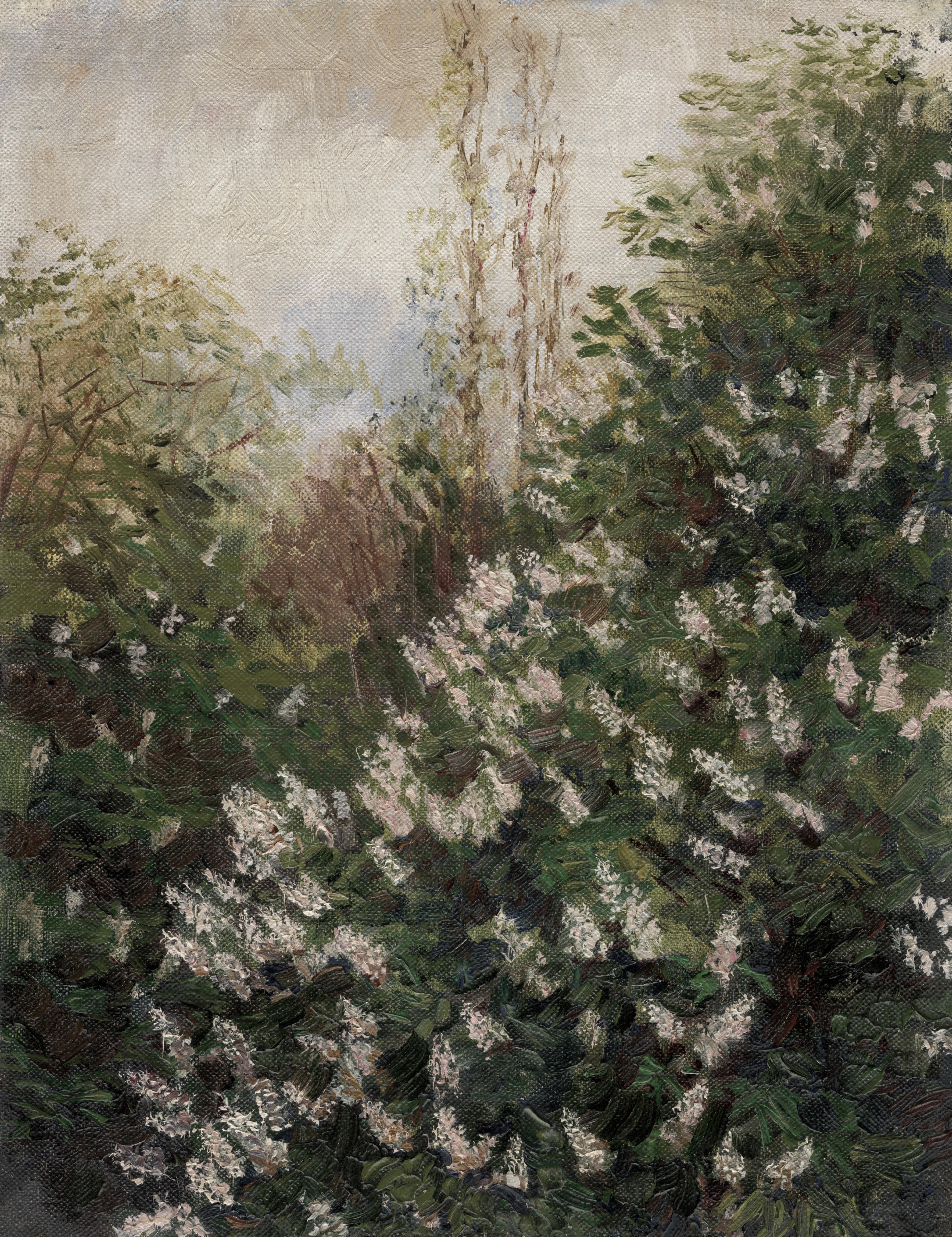 Vinyl Decal, Lilac Tree Painting Spring Country Farmhouse Wall Art Print for Living Room Bedroom Dec