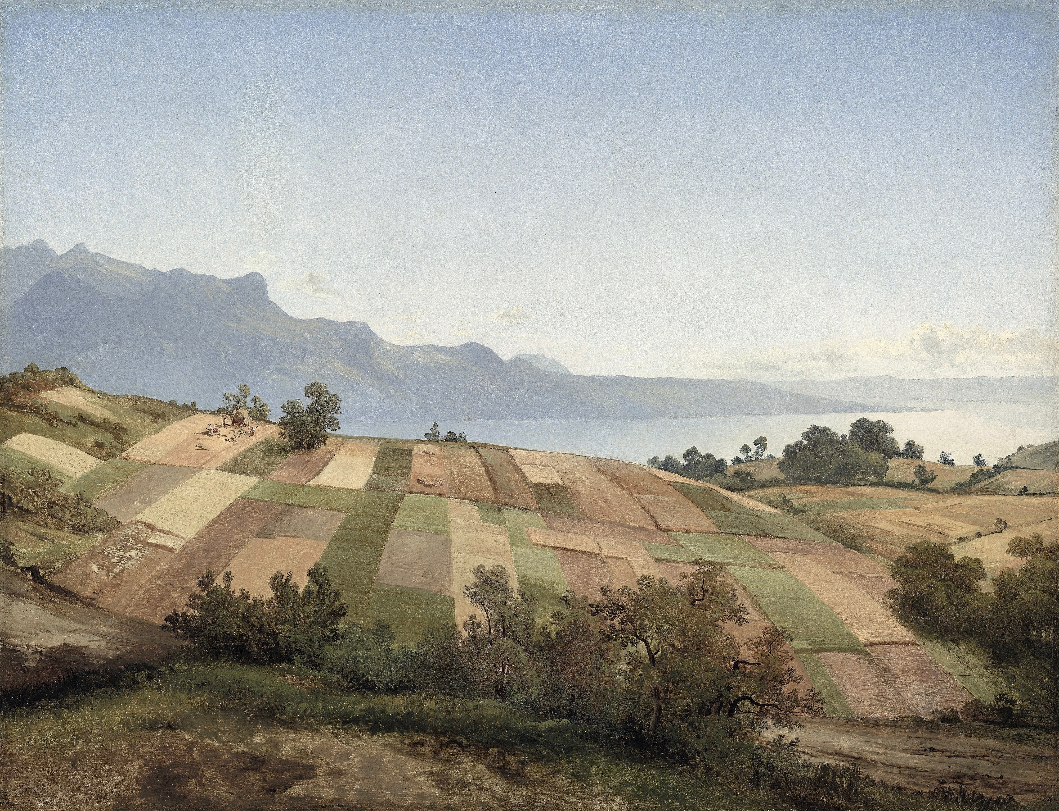 Vinyl Decal, Colorful Patchwork Fields Horizon Artwork (5" x 7")