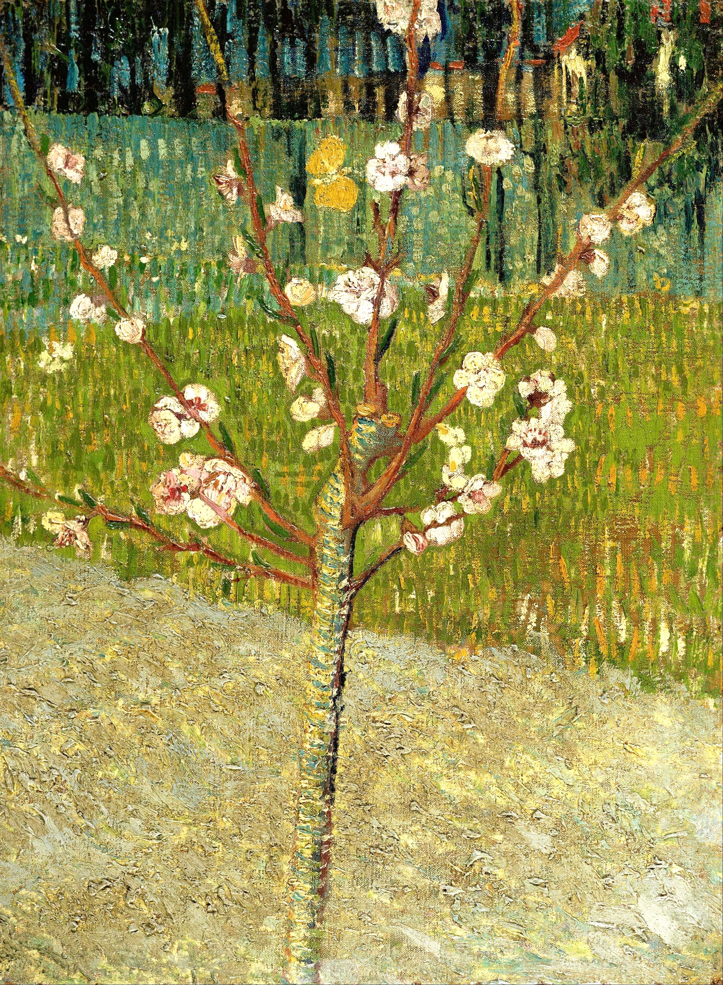 Vinyl Decal, Beautiful Spring Tree Artwork on Canvas A Vibrant Floral Display Any Room's Decor Wall