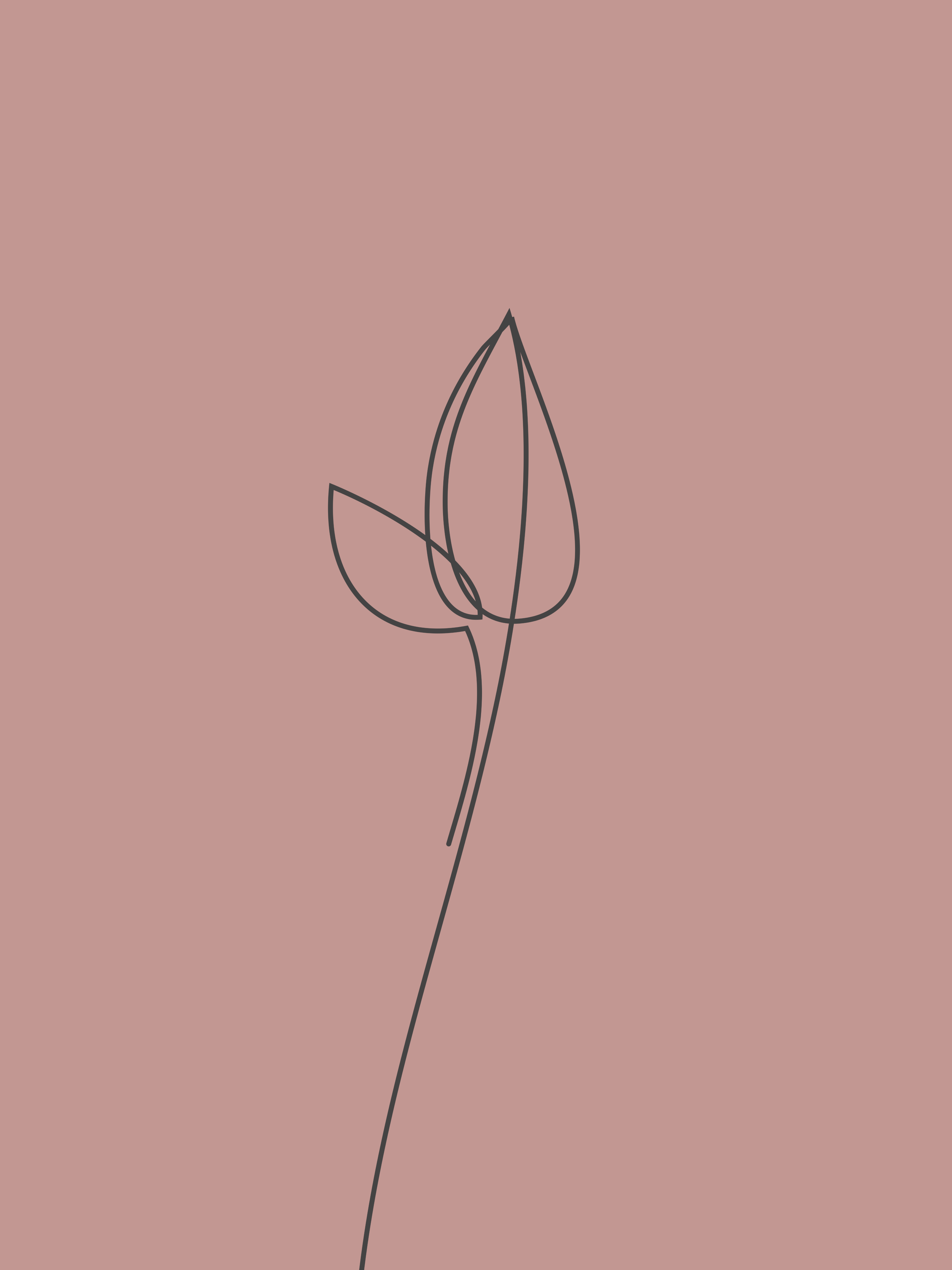 Vinyl Decal, Single Line Botanical Art (5" x 7")