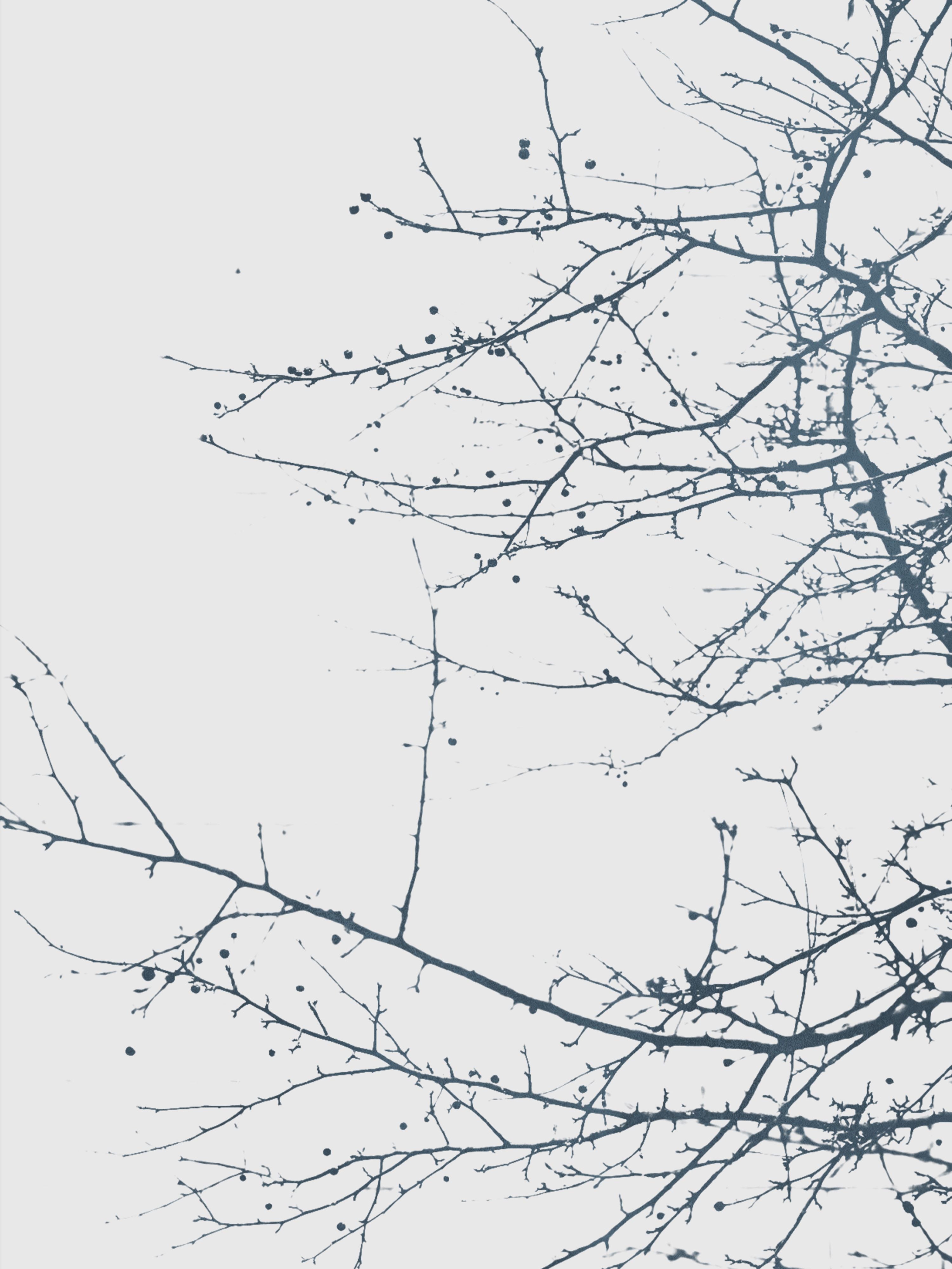 Vinyl Decal, Minimalist Winter Landscape.. (5" x 7")