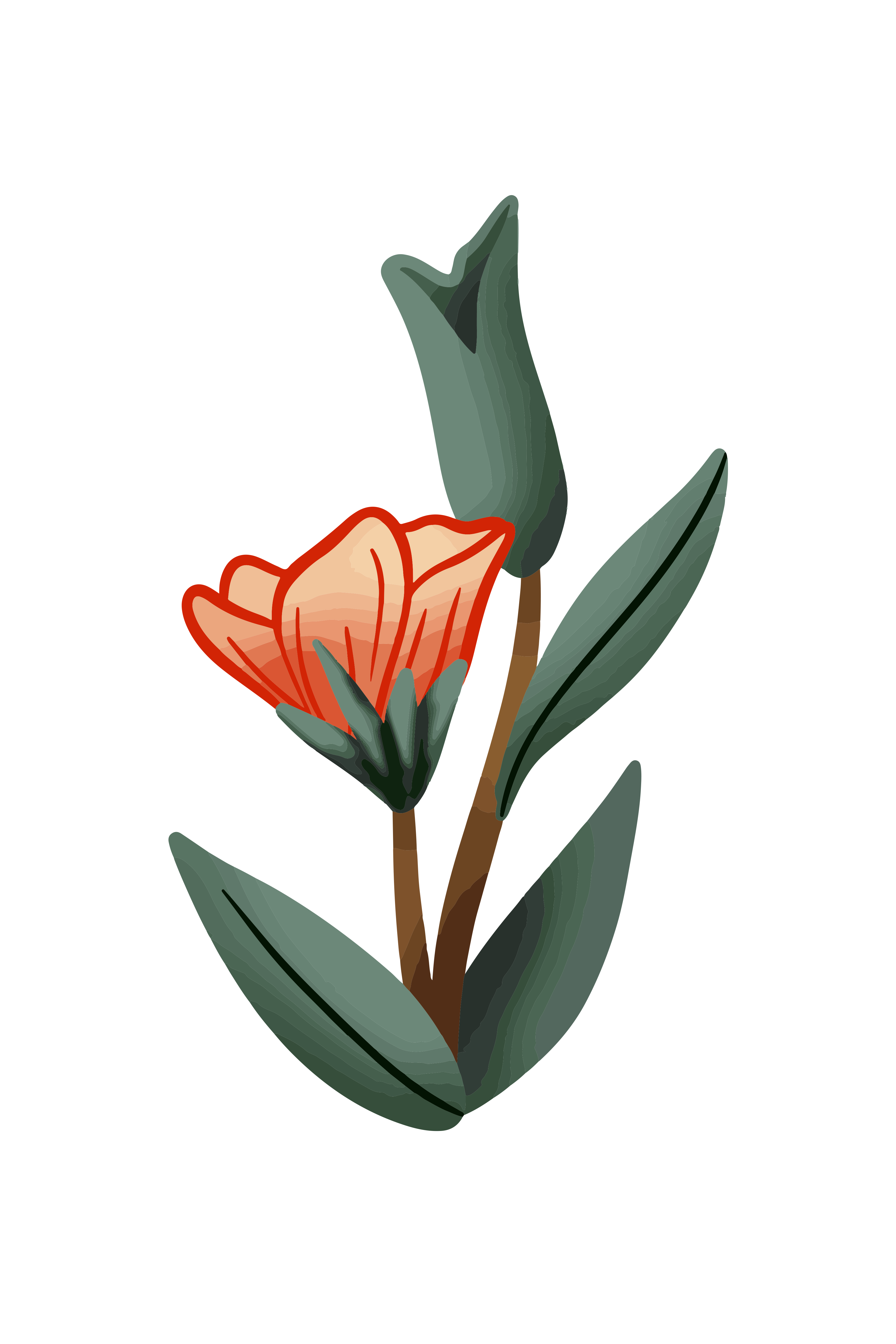 Vinyl Decal, Vibrant Tulip Art.. (5" x 7")