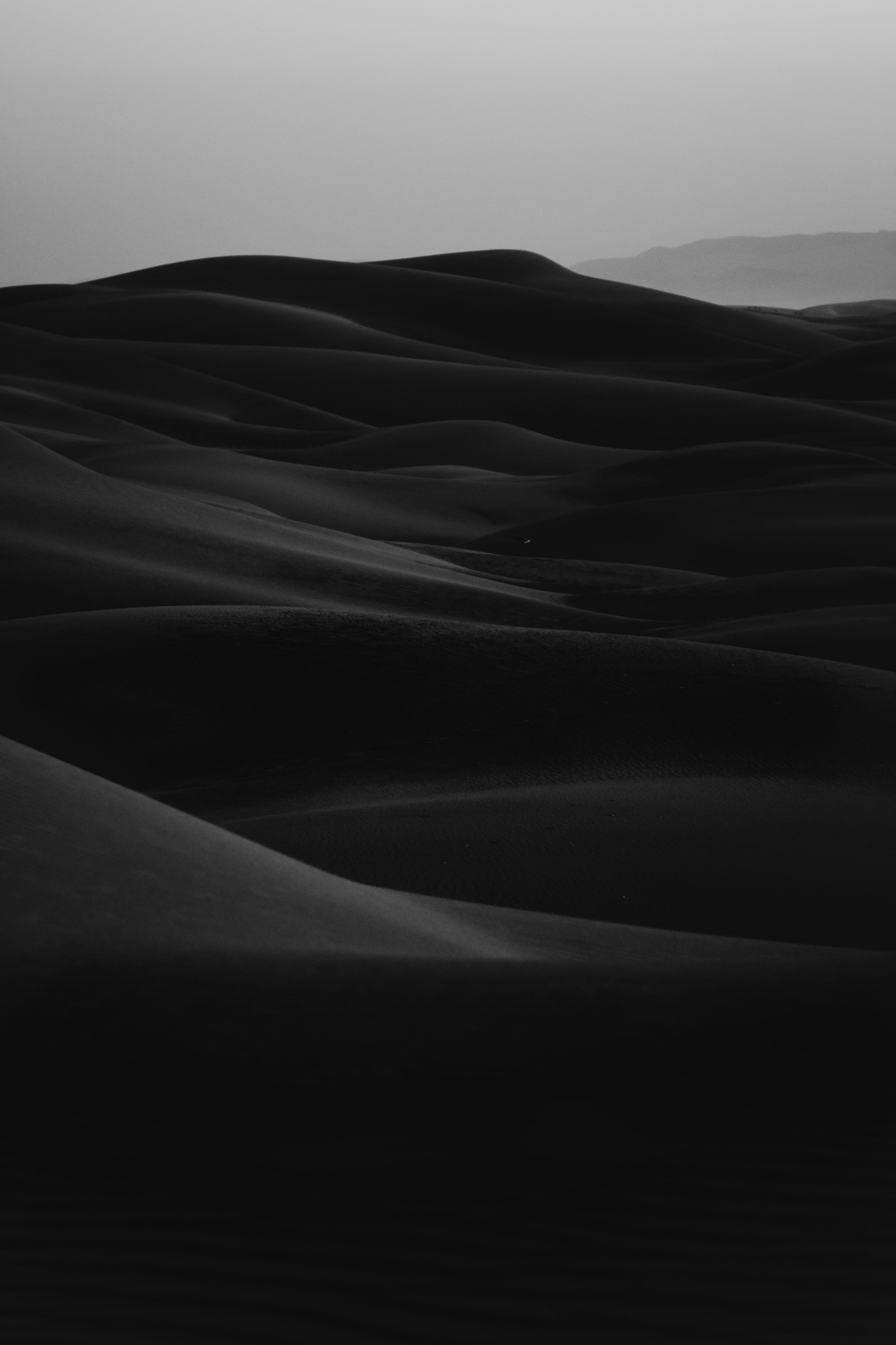 Vinyl Decal, Dunes at Dusk (5" x 7")