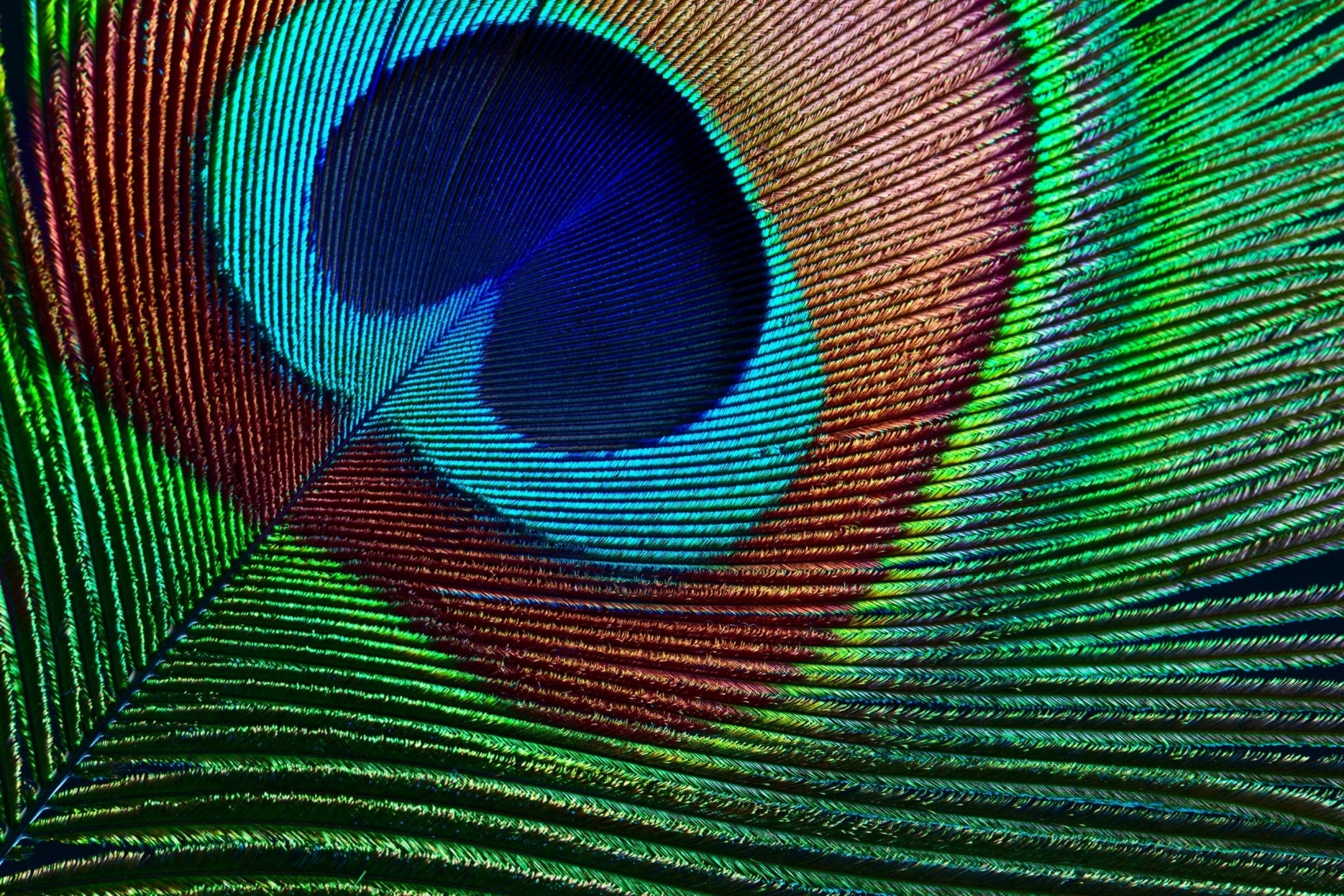 Vinyl Decal, Iridescent Eye (5" x 7")