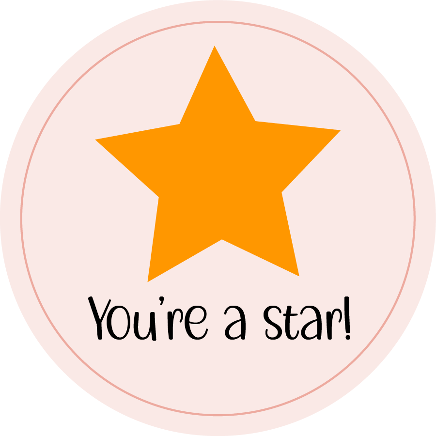 Inspirational Quote "You're A Star! Sticker" Motivational Sticker Vinyl Decal Motivation Stickers- 5" Vinyl Sticker Waterproof