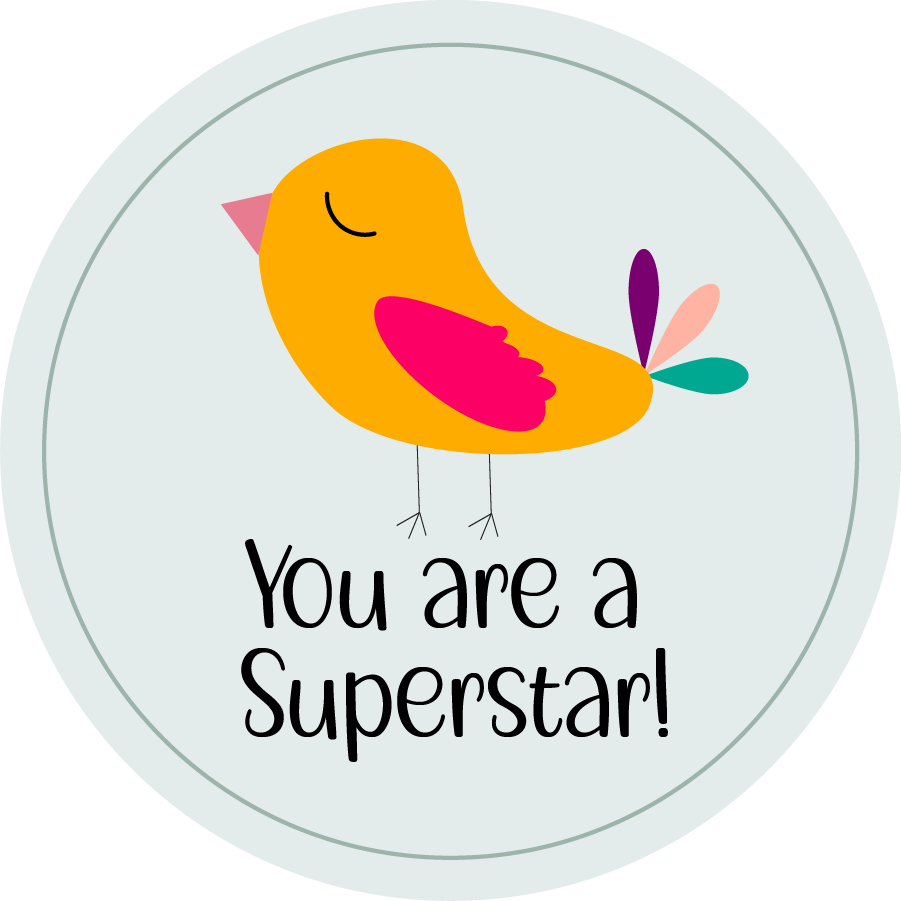 Inspirational Quote "You are A Superstar!" Motivational Sticker Vinyl Decal Motivation Stickers- 5" Vinyl Sticker Waterproof