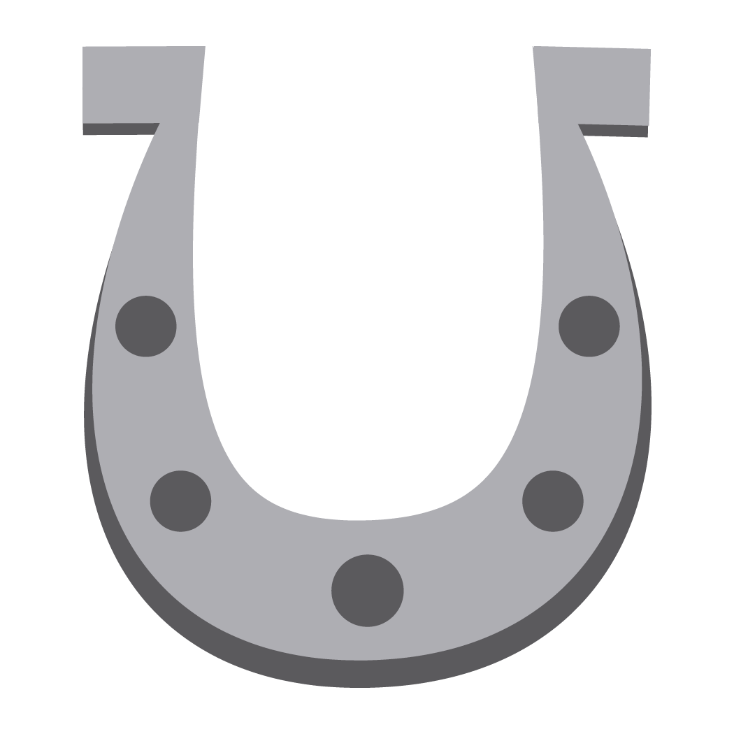 Inspirational Quote Horse Shoe Flat Greyscale Motivational Sticker Vinyl Decal Motivation Stickers- 5" Vinyl Sticker Waterproof
