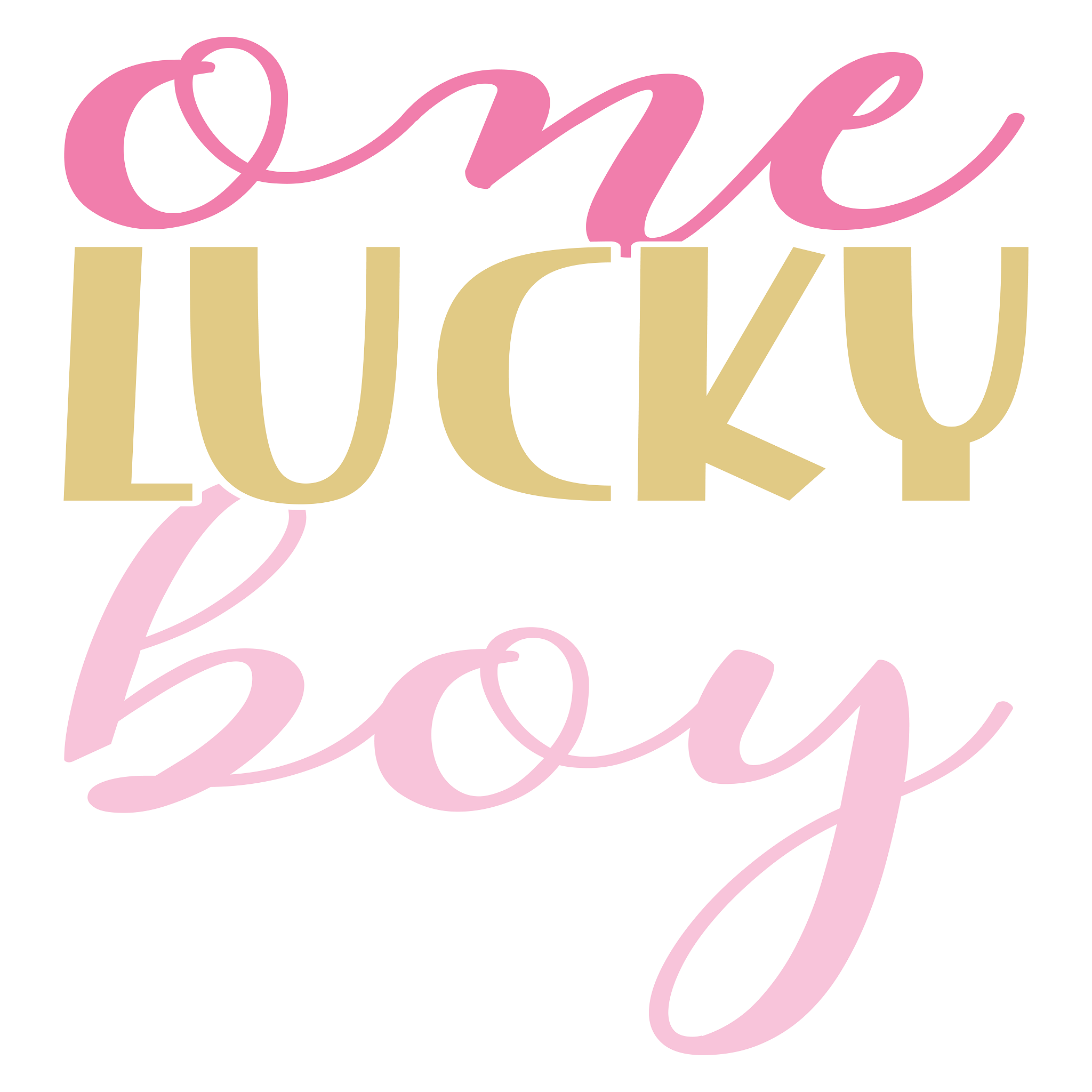 Inspirational Quote One Lucky Boy. Motivational Sticker Vinyl Decal Motivation Stickers- 5" Vinyl Sticker Waterproof