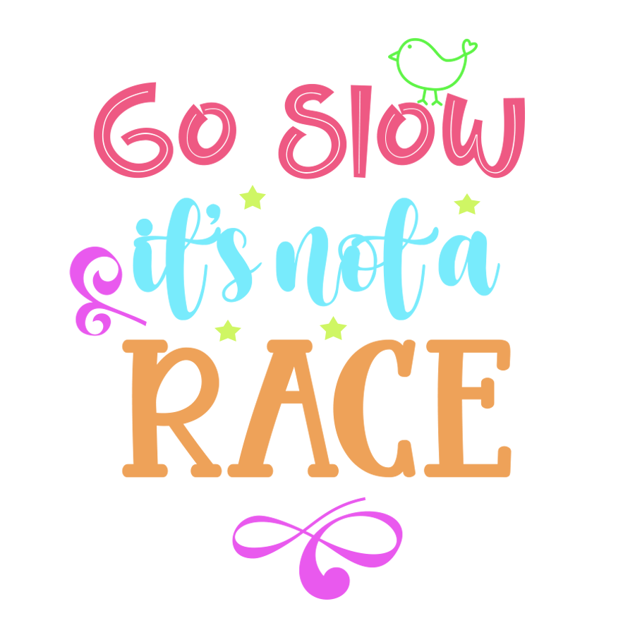 Inspirational Quote Go Slow Its Not A Race Motivational Sticker Vinyl Decal Motivation Stickers- 5" Vinyl Sticker Waterproof