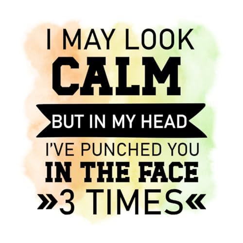 Inspirational Quote "I May Look Calm But In My Head I've Punched You In The Face 3 Times" Motivational Sticker Vinyl Decal Motivation Stickers- 5" Vinyl Sticker Waterproof