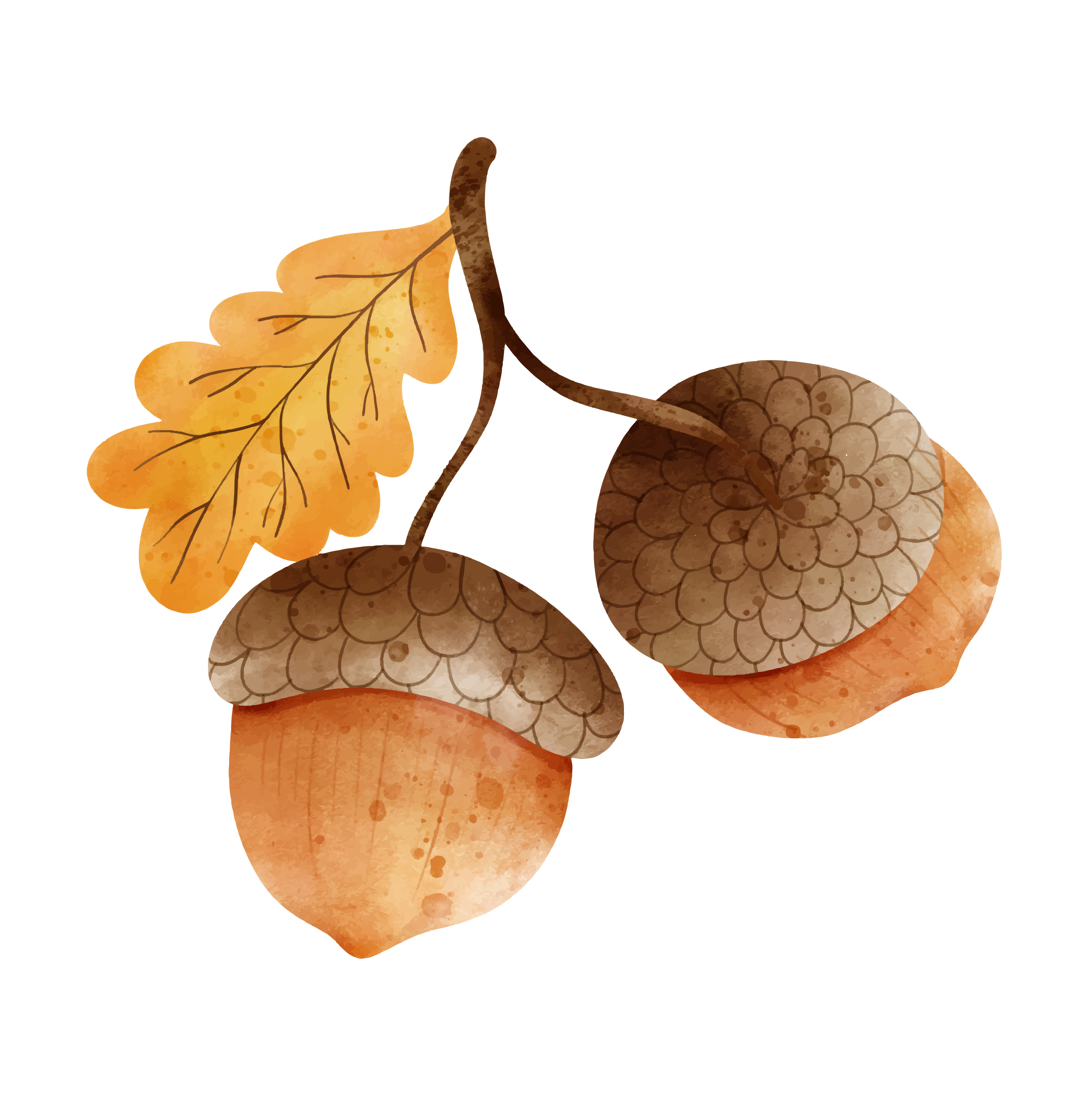 Inspirational Quote Oak Motivational Sticker Vinyl Decal Motivation Stickers- 5" Vinyl Sticker Waterproof