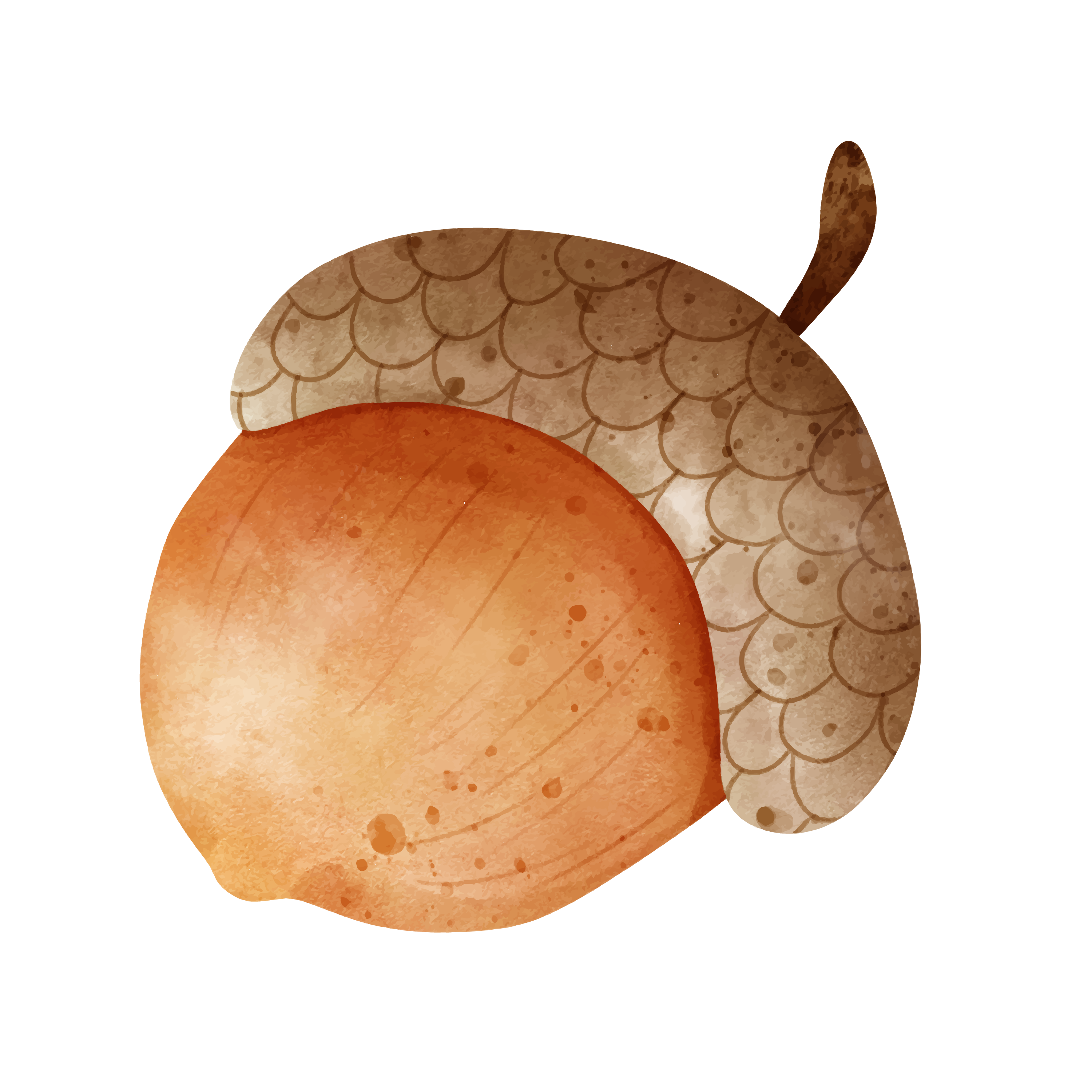 Inspirational Quote Chestnuts Motivational Sticker Vinyl Decal Motivation Stickers- 5" Vinyl Sticker Waterproof