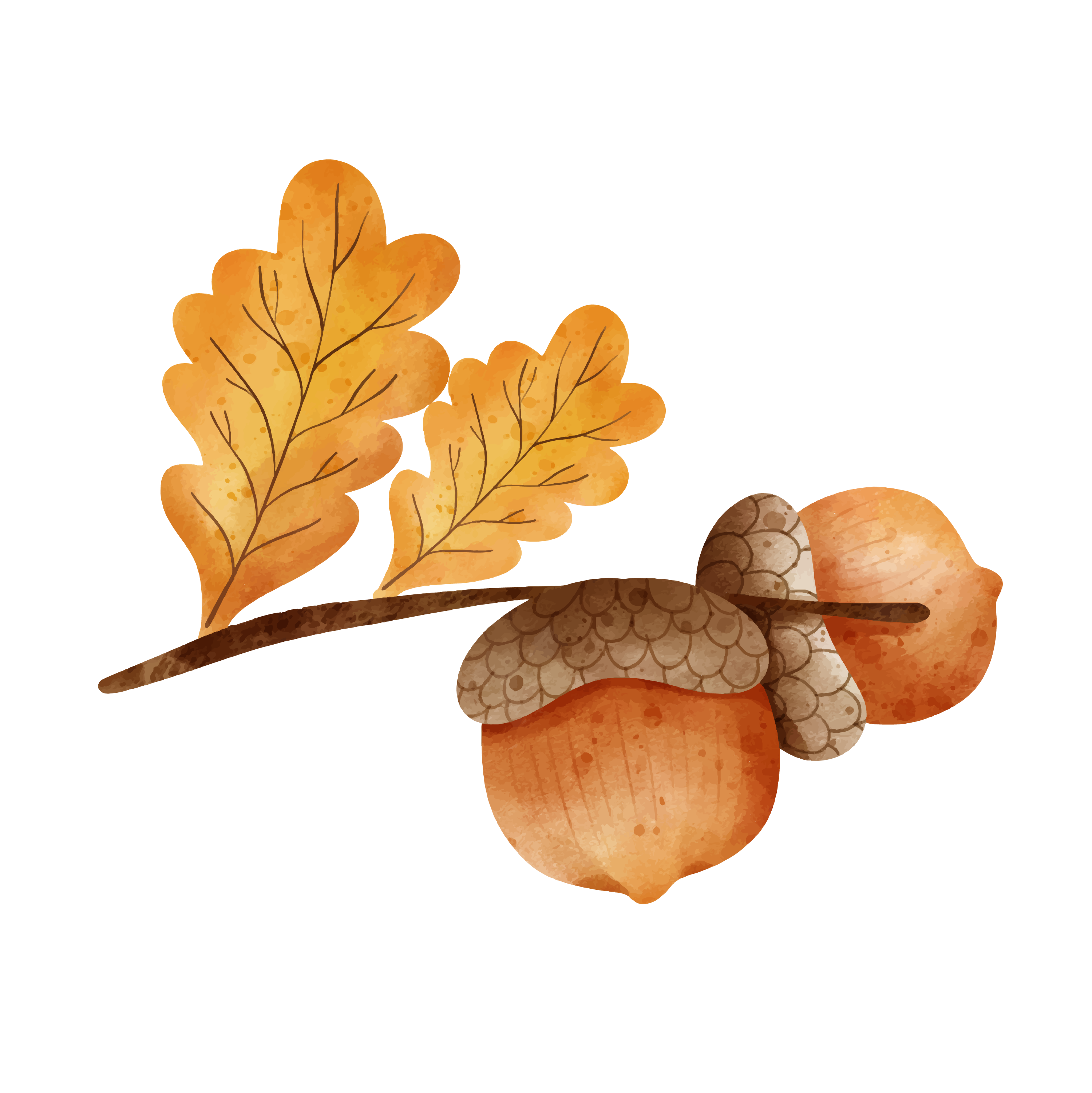 Inspirational Quote Watercolor Acorn Autumn Motivational Sticker Vinyl Decal Motivation Stickers- 5" Vinyl Sticker Waterproof