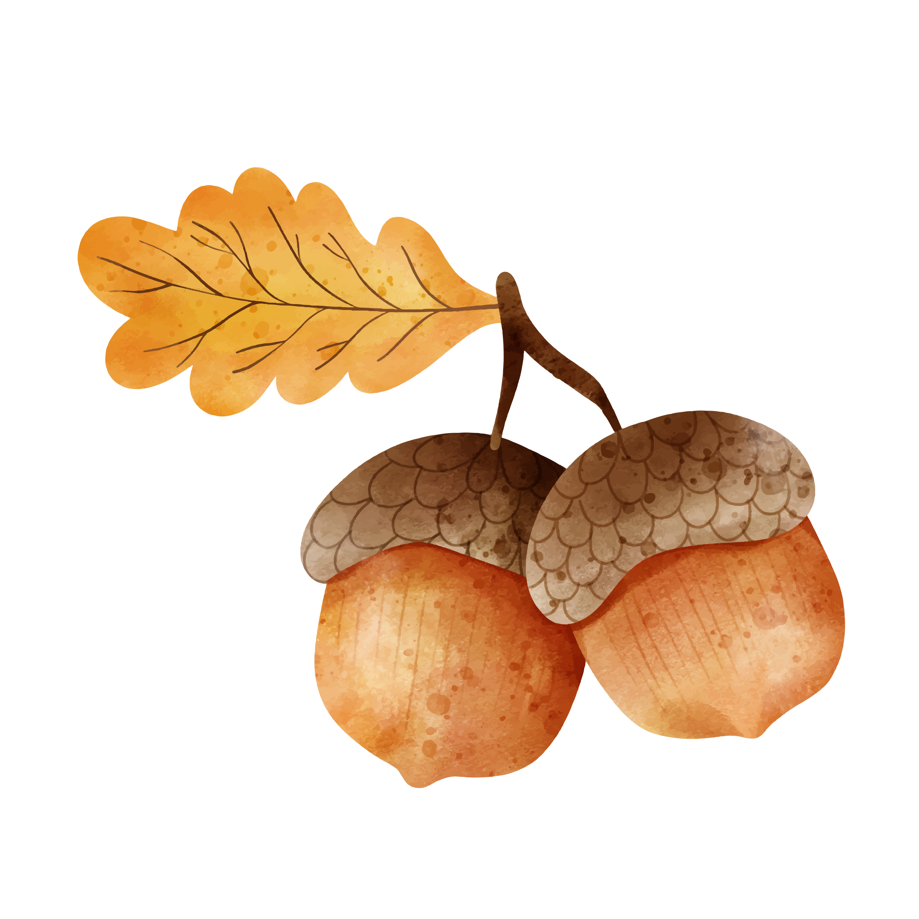 Inspirational Quote Watercolor Acorn Motivational Sticker Vinyl Decal Motivation Stickers- 5" Vinyl Sticker Waterproof