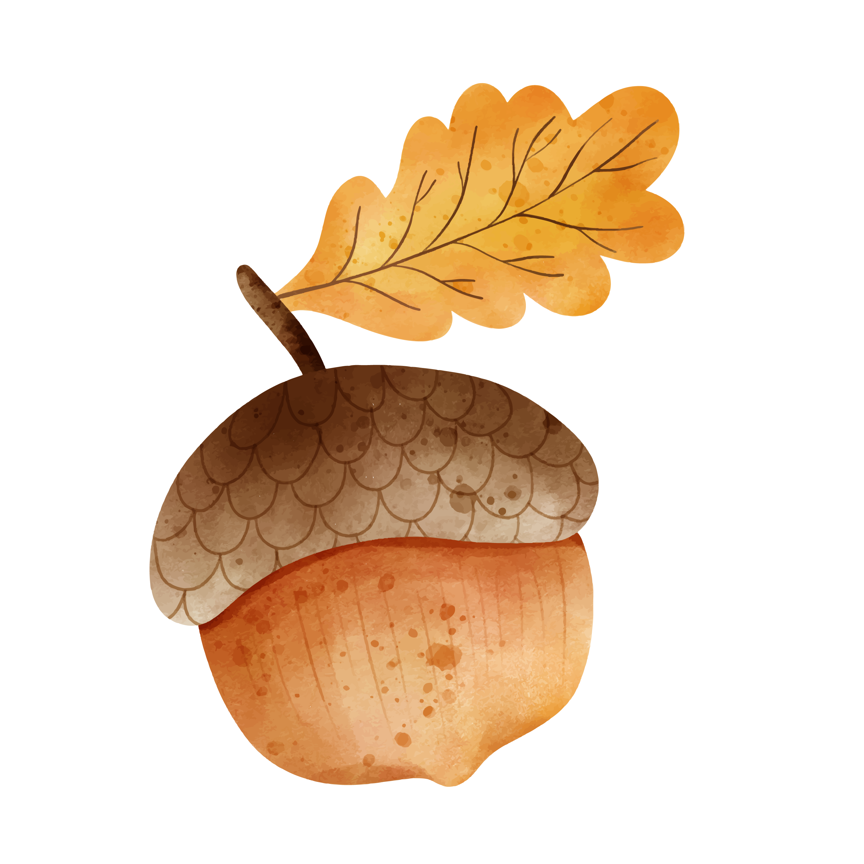 Inspirational Quote Beautiful Watercolor Acorn Motivational Sticker Vinyl Decal Motivation Stickers- 5" Vinyl Sticker Waterproof