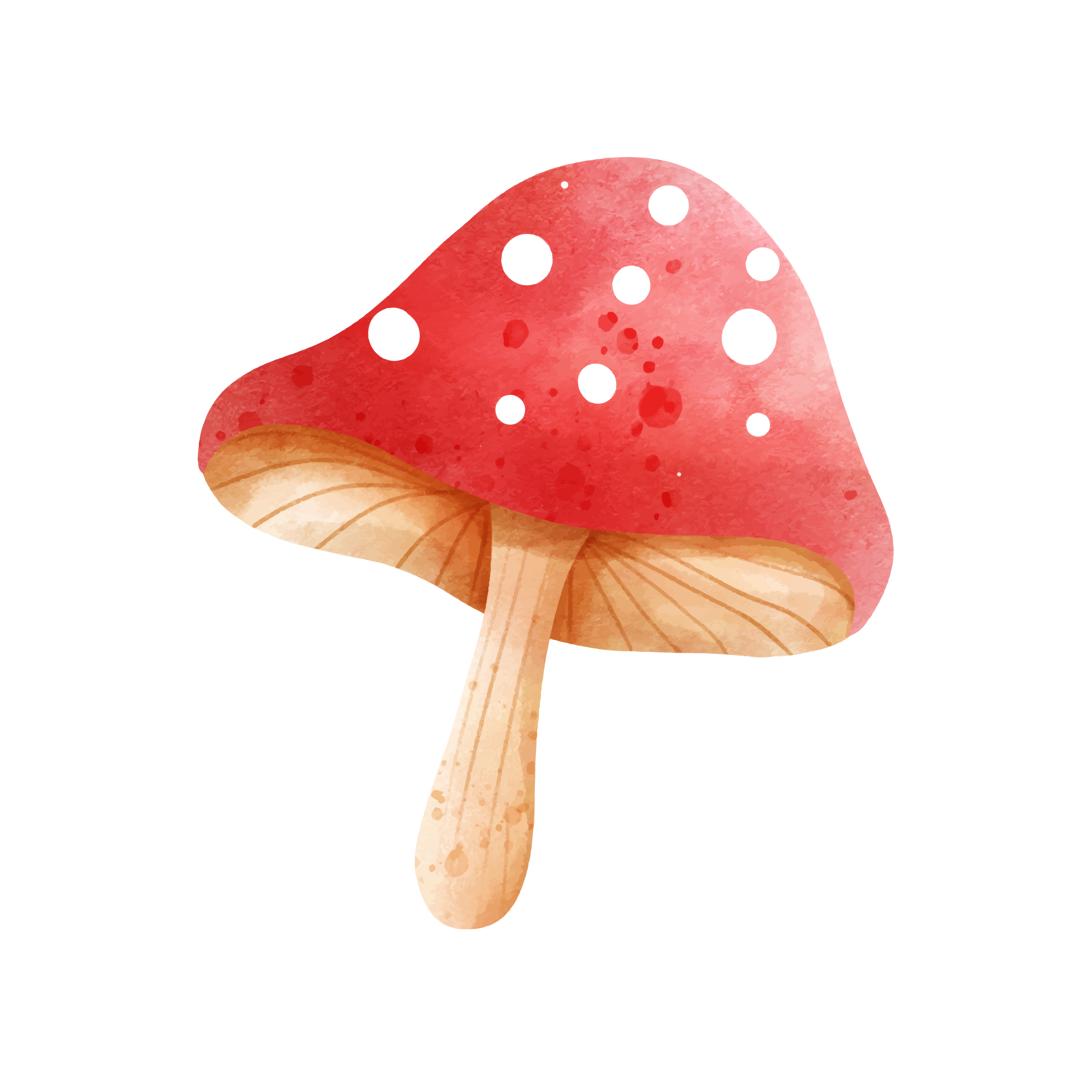 Inspirational Quote Mushrooms Motivational Sticker Vinyl Decal Motivation Stickers- 5" Vinyl Sticker Waterproof