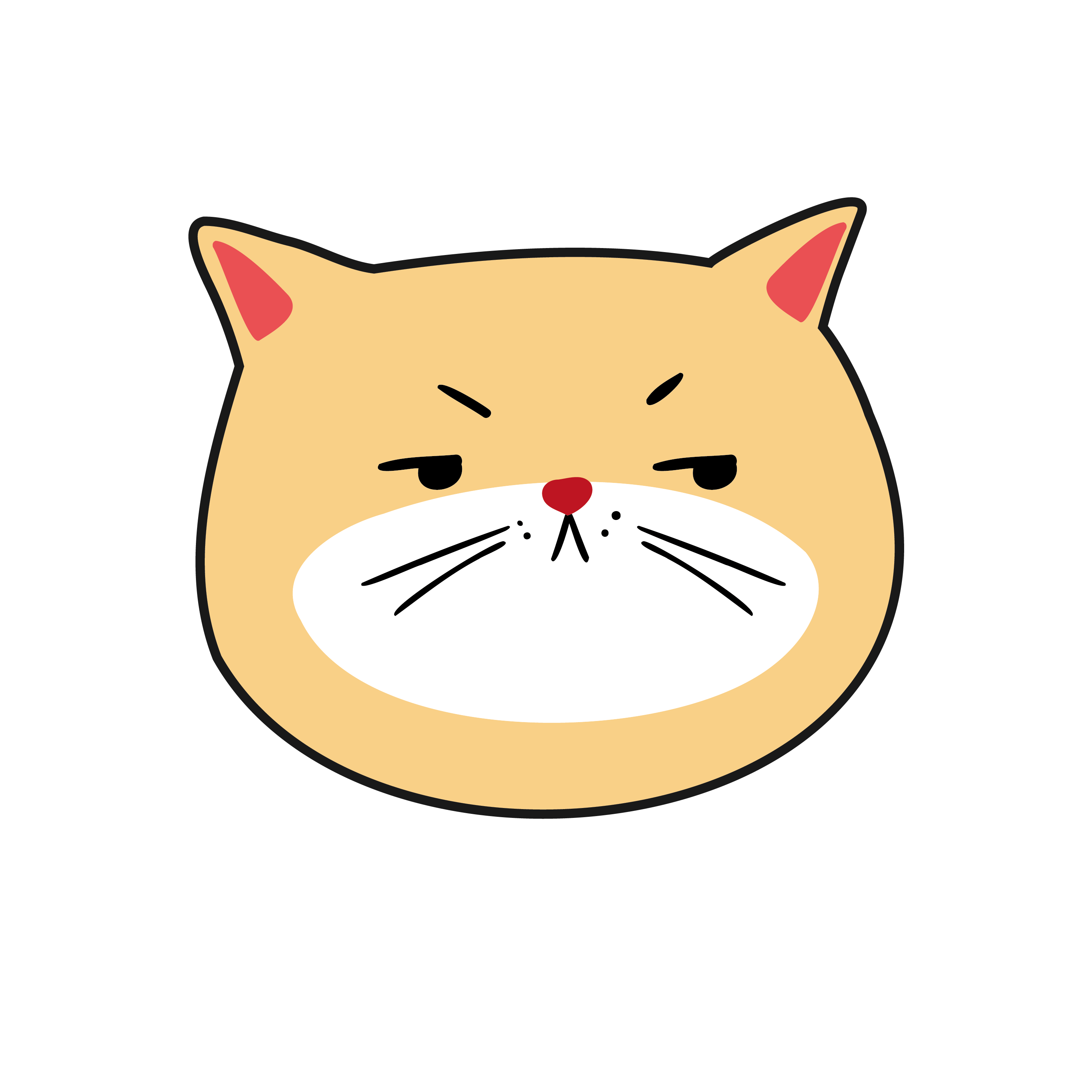 Inspirational Quote "Cat Angry Expression" Motivational Sticker Vinyl Decal Motivation Stickers- 5" Vinyl Sticker Waterproof