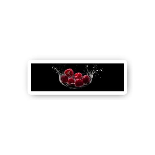 2 (Pieces) 3" and 5" Funny Sloth Sticker, Waterproof Vinyl Decals for Many Purpose Like Cars, Trucks