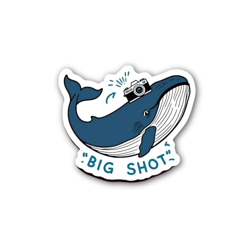 4-Piece 4 Sizes ROLL with IT Vinyl Decal Set – Waterproof Indoor/Outdoor UV/Fade Resistant Stickers 