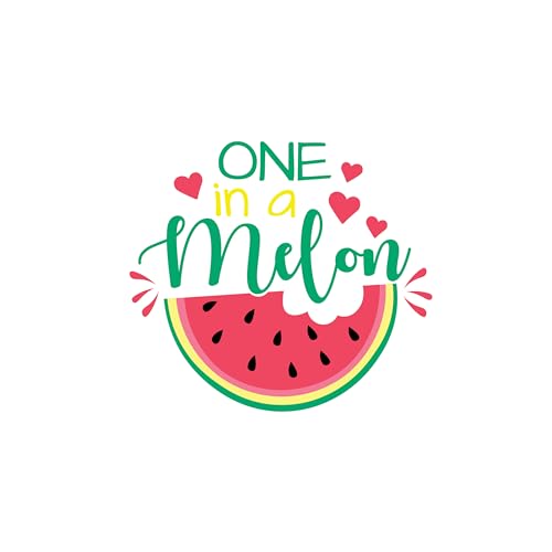 Inspirational Quote Little Miss Proof. Motivational Sticker Vinyl Decal Motivation Stickers- Choose 